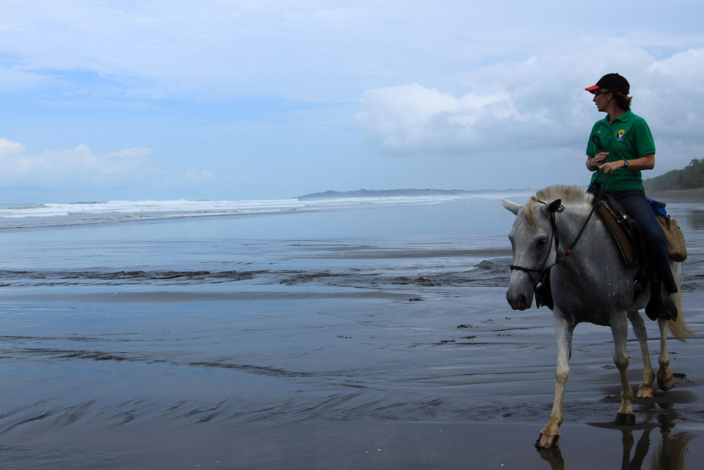 discovery horseback tour beach closeup 7.jpg