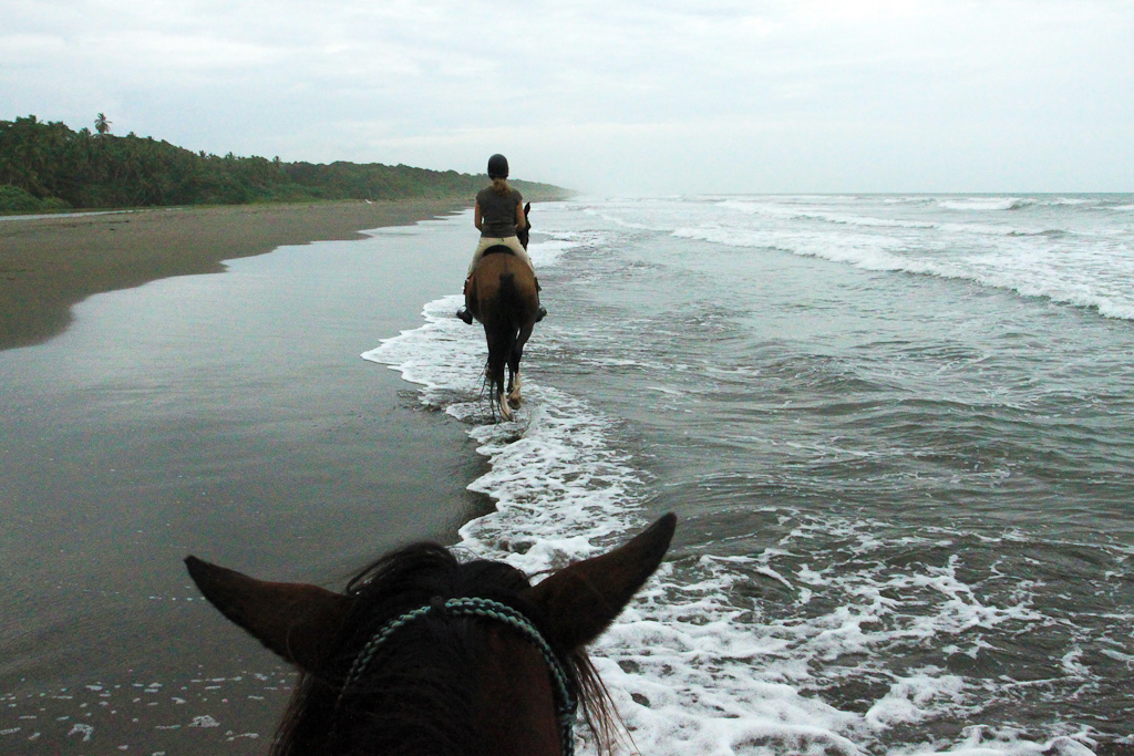 Jungle Beach Horseback Tour In Line