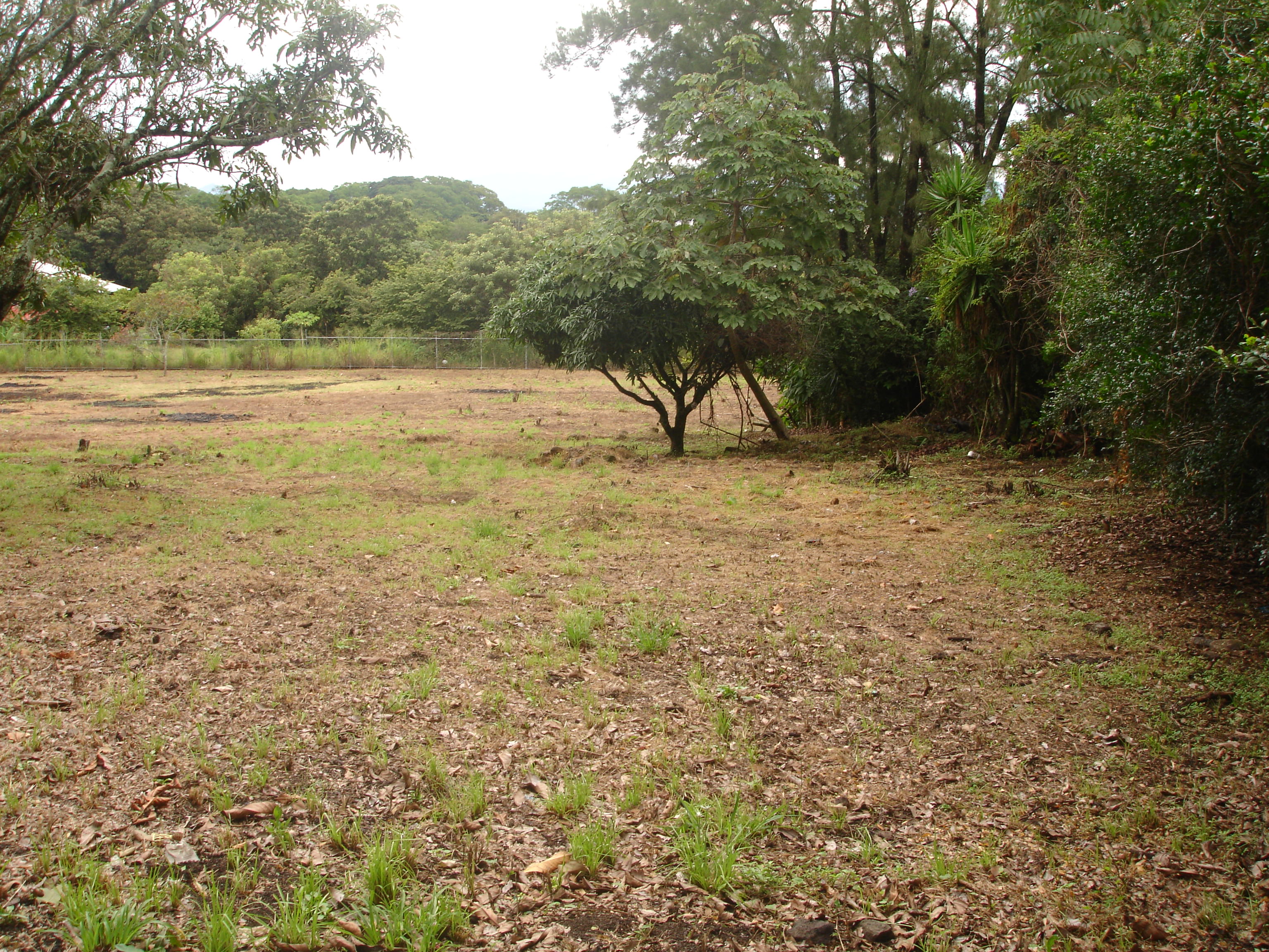 land for commercial or industrial development in alajuela view 003.jpg