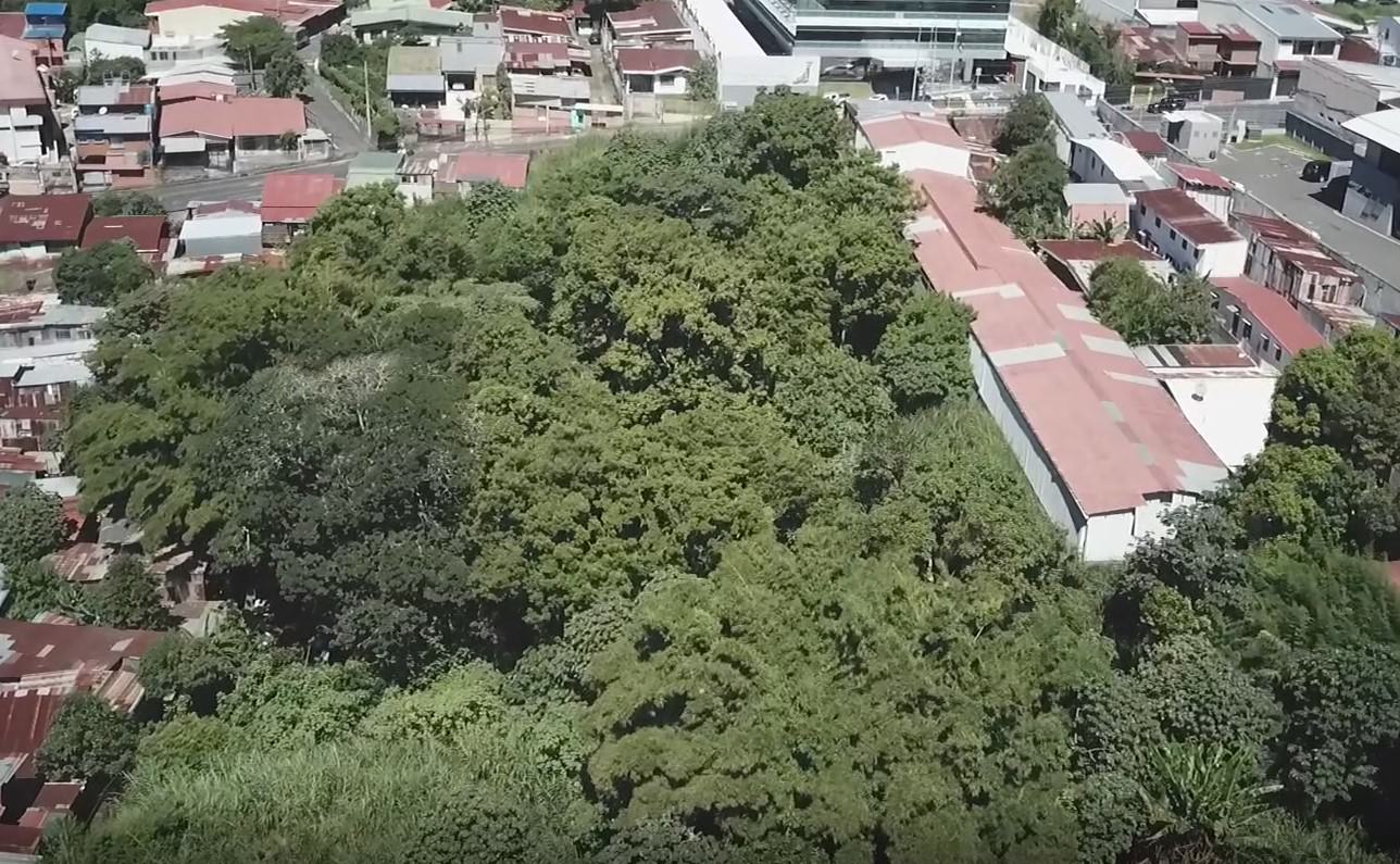 urban development site in sabana view 009.jpg
