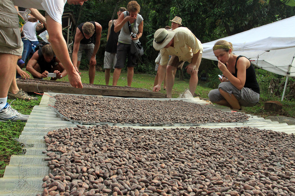 caribeans drying beans 3.jpg
