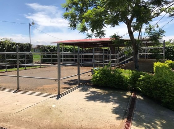 country estate for sale in alajuela view 020.jpg