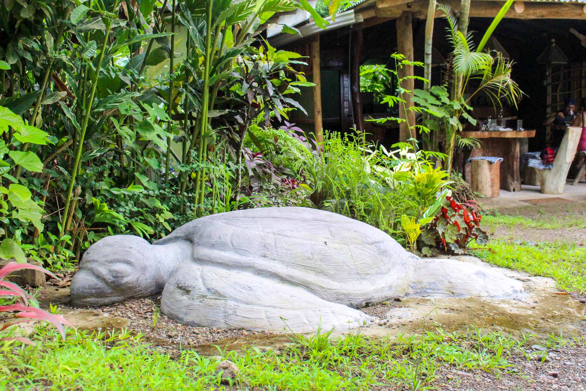 casa tortugo stone turtle 7.jpg