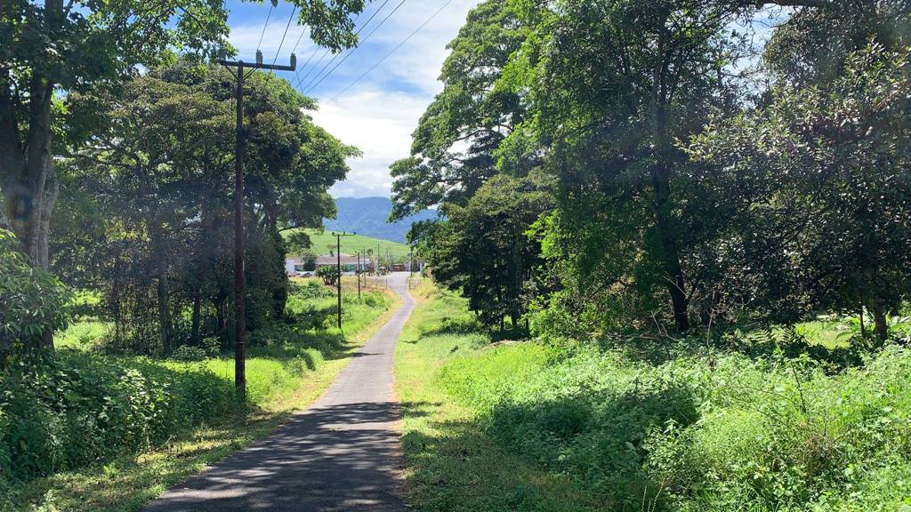 land for residential development in lomas de ayarco view 004.jpg