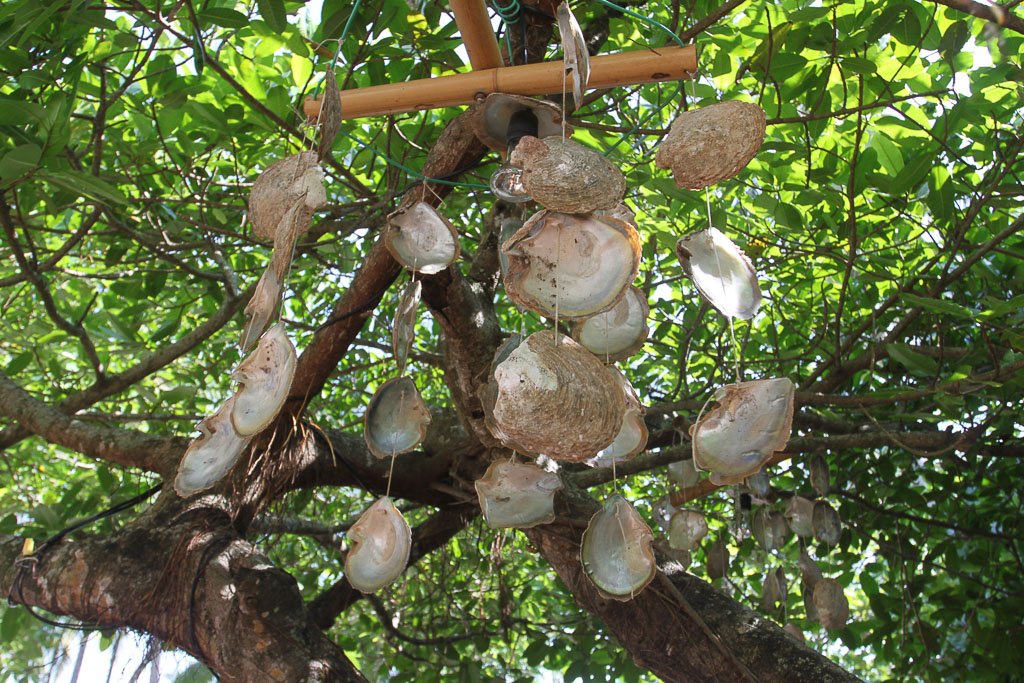 Oyster Shell Decoration El Lagarto