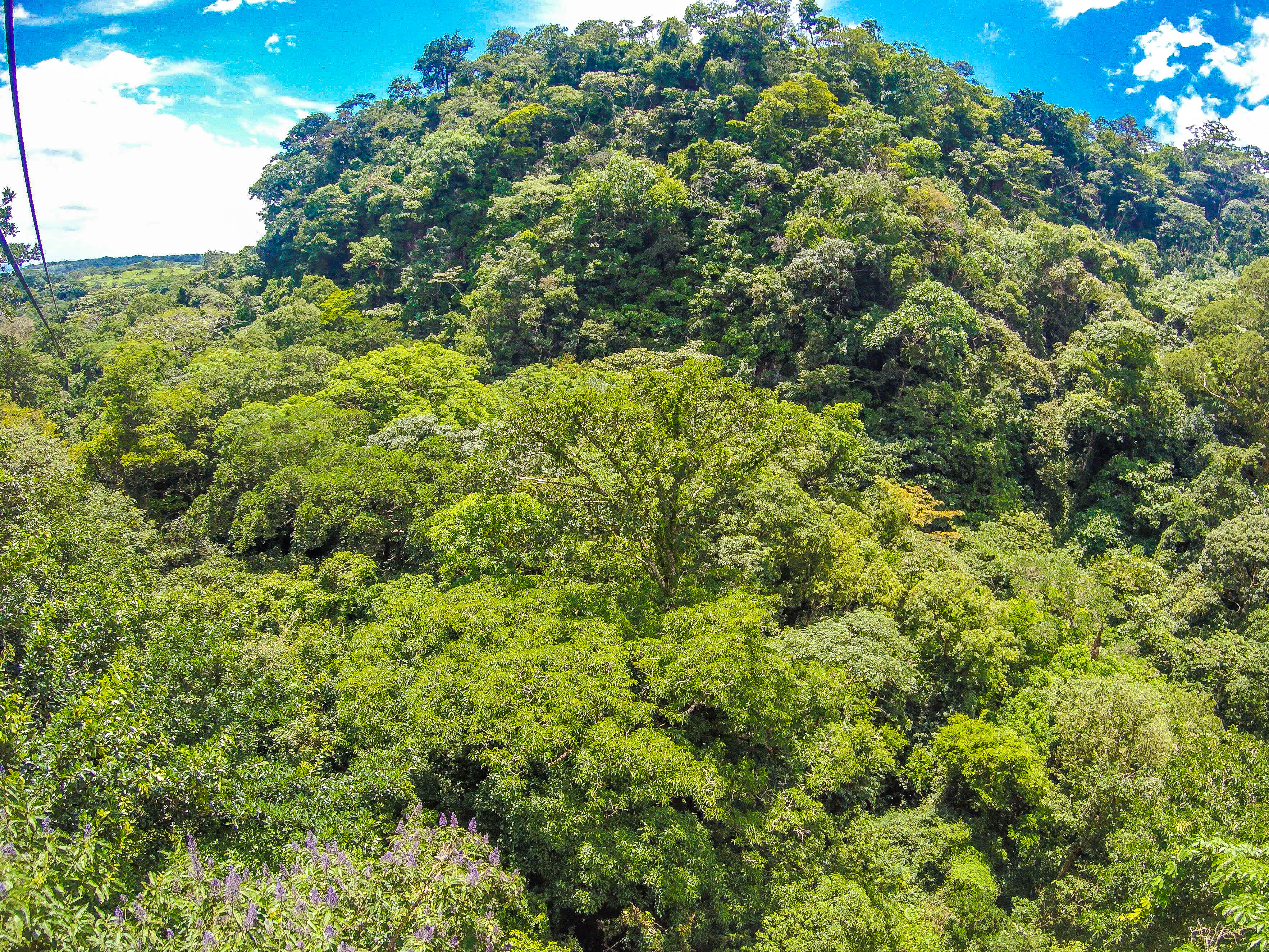 Lateral Forest View From The Tizati Zip Line Rincon De La Vieja