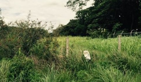 site for new development in santa ana view 005.jpg