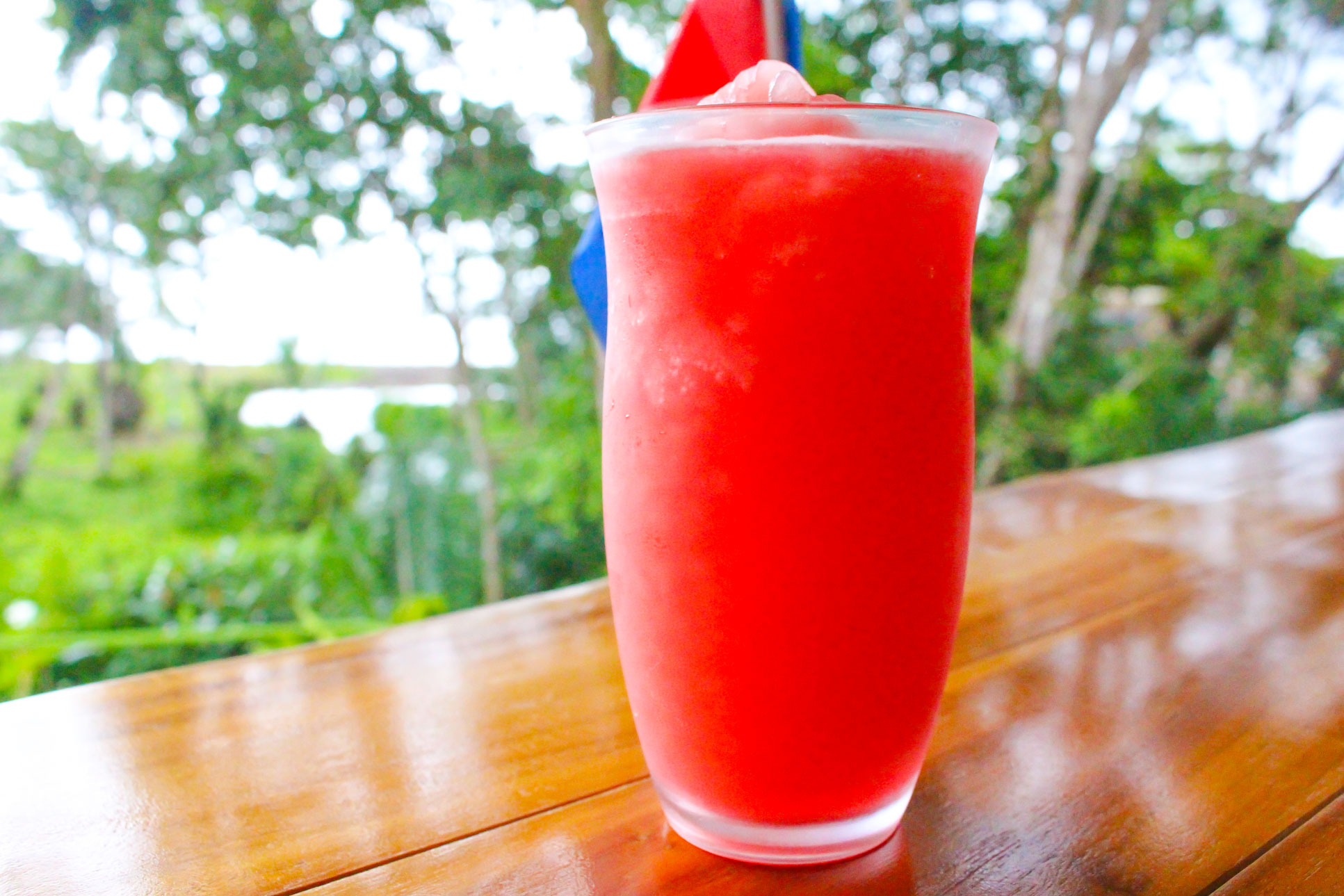 watermelon batido 4.jpg