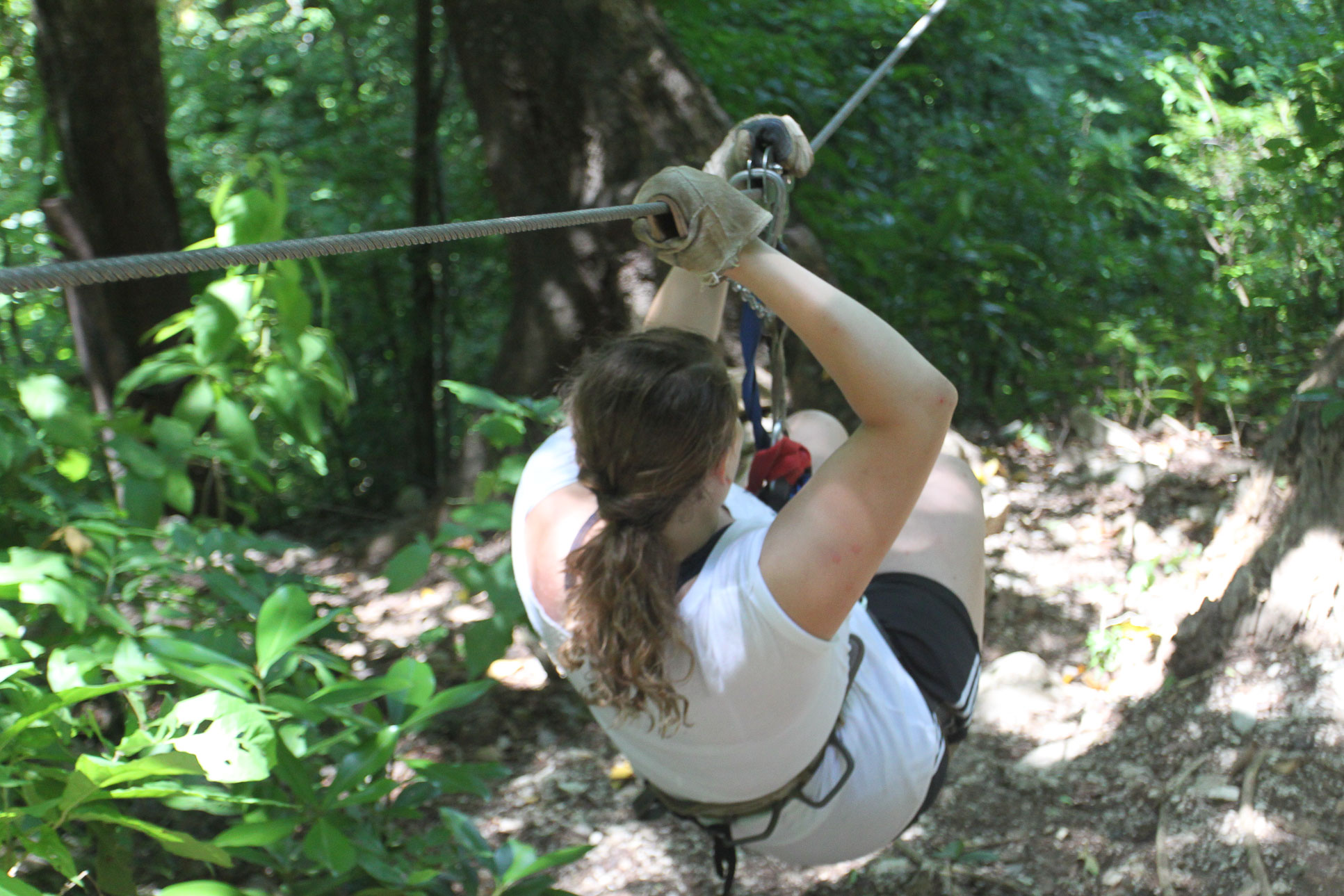 zipling wingnutscanopy 3.jpg