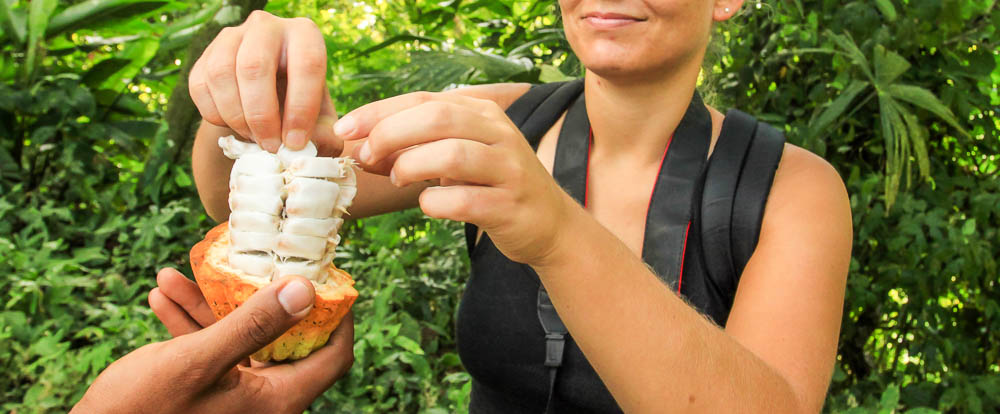 kekoldi reserve tour cacao 1.jpg