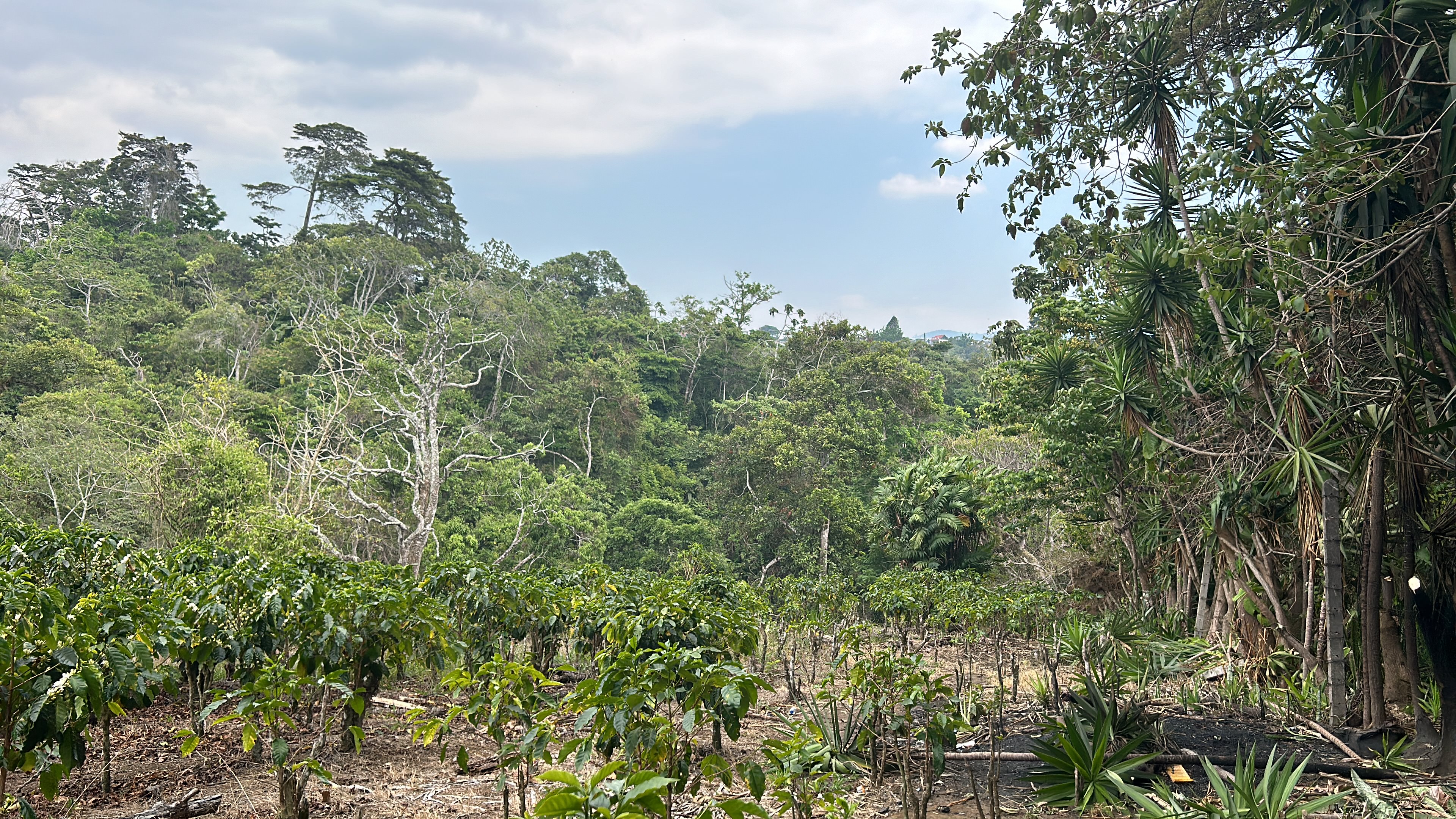 cul de sac residential development lot view 020.jpg