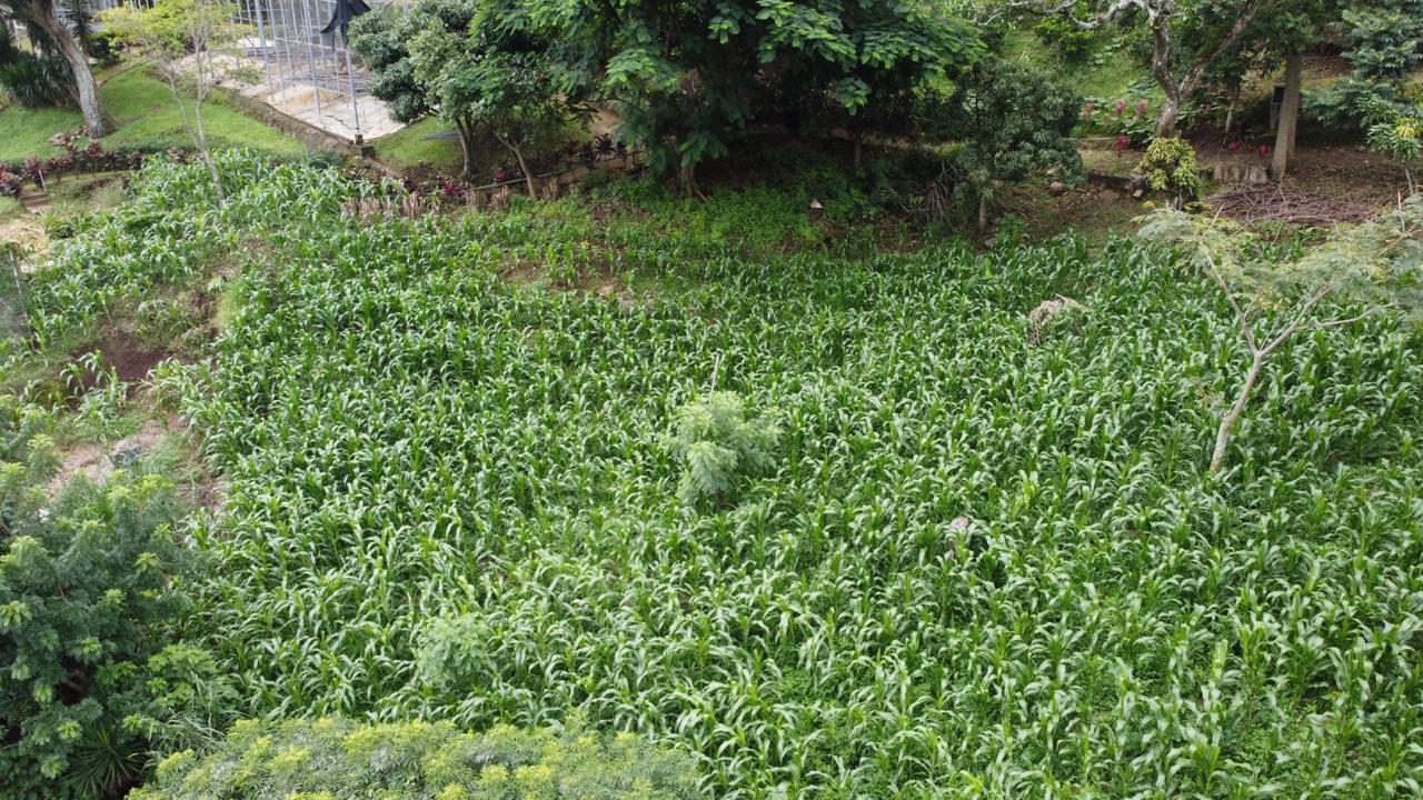 land with structures for wildlife rescue center in santa ana view 008.jpeg