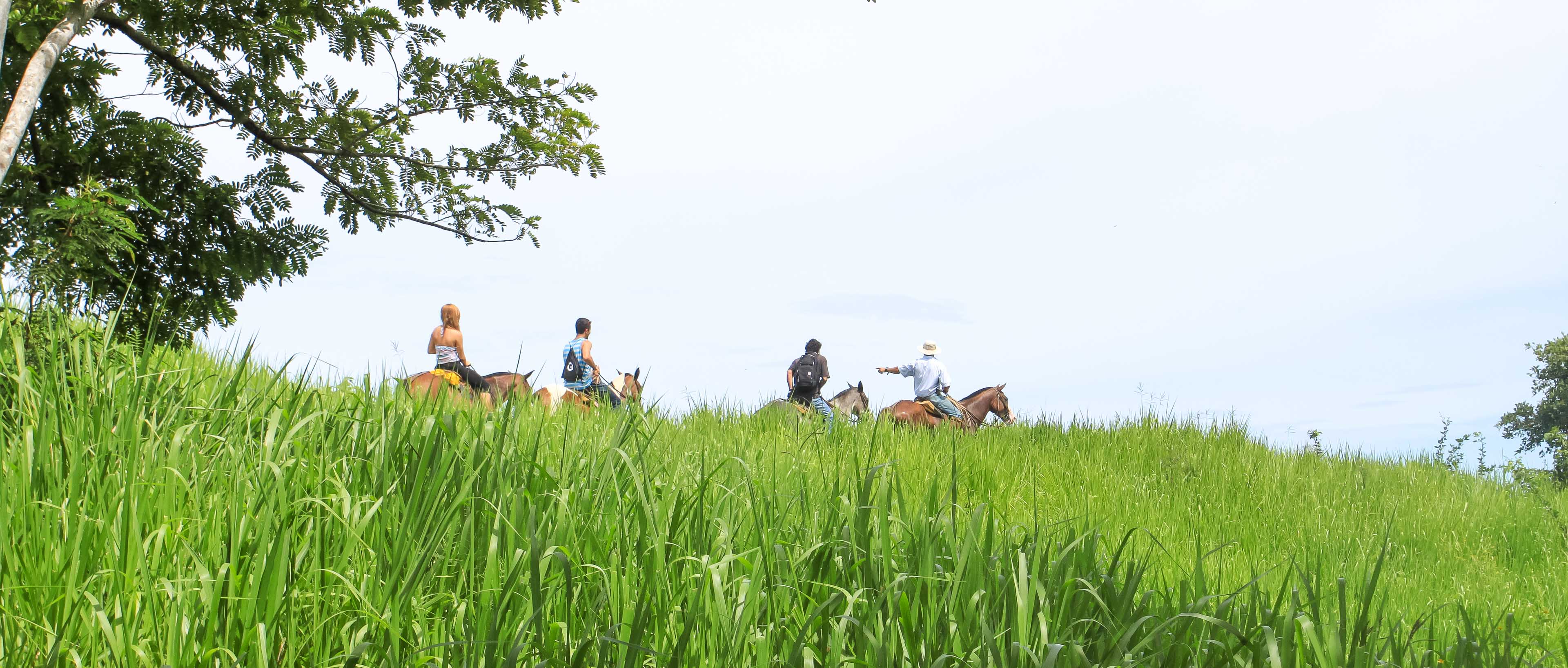 Three Tourist At A Mountain Ridge Horseback Riding