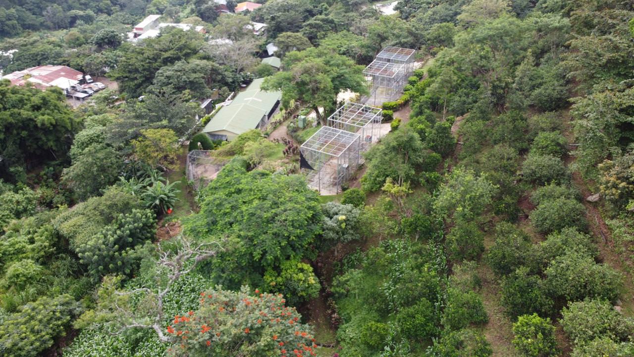 land with structures for wildlife rescue center in santa ana view 017.jpeg