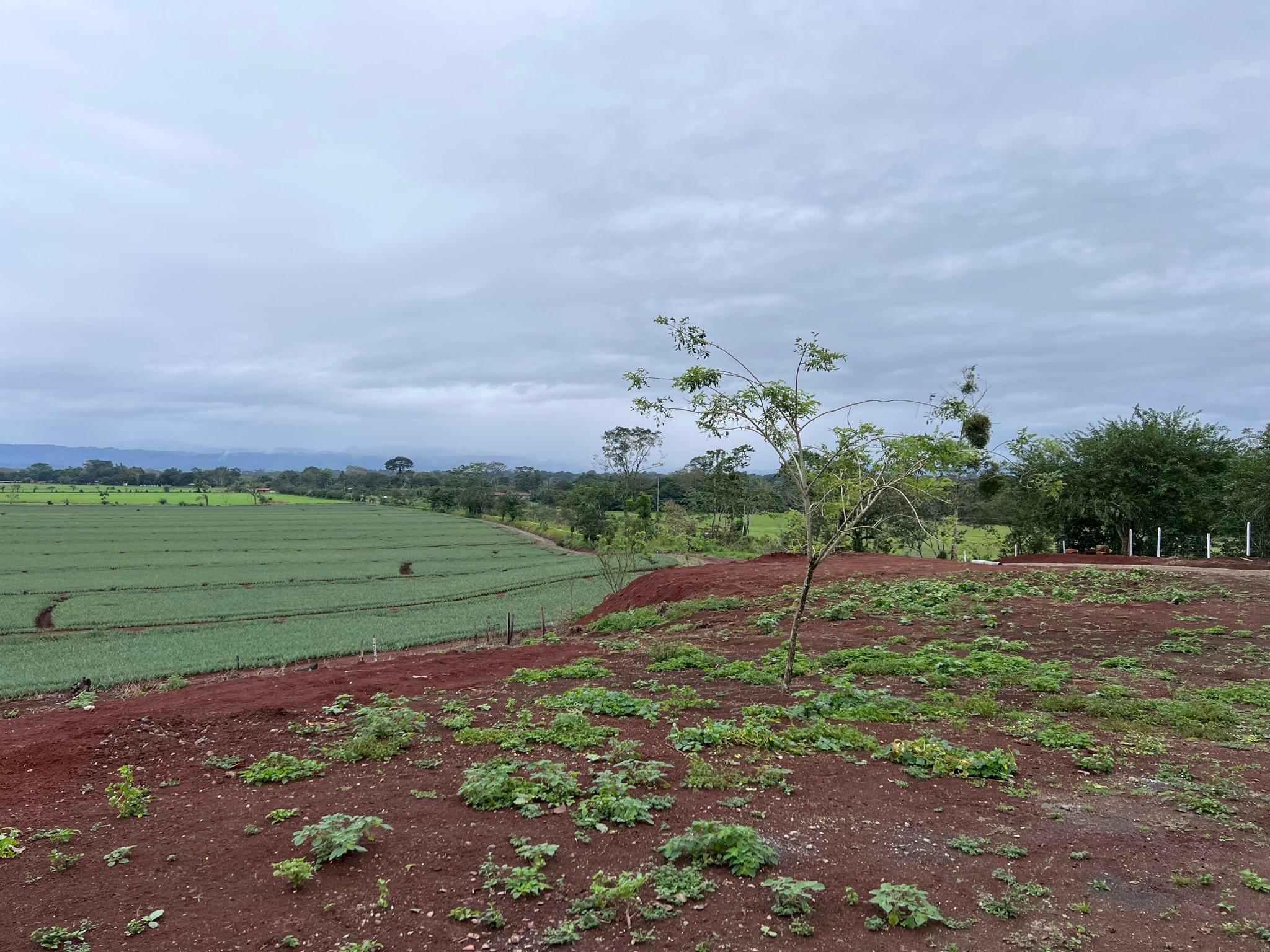 land for development 20 minutes from la fortuna view 006.jpeg