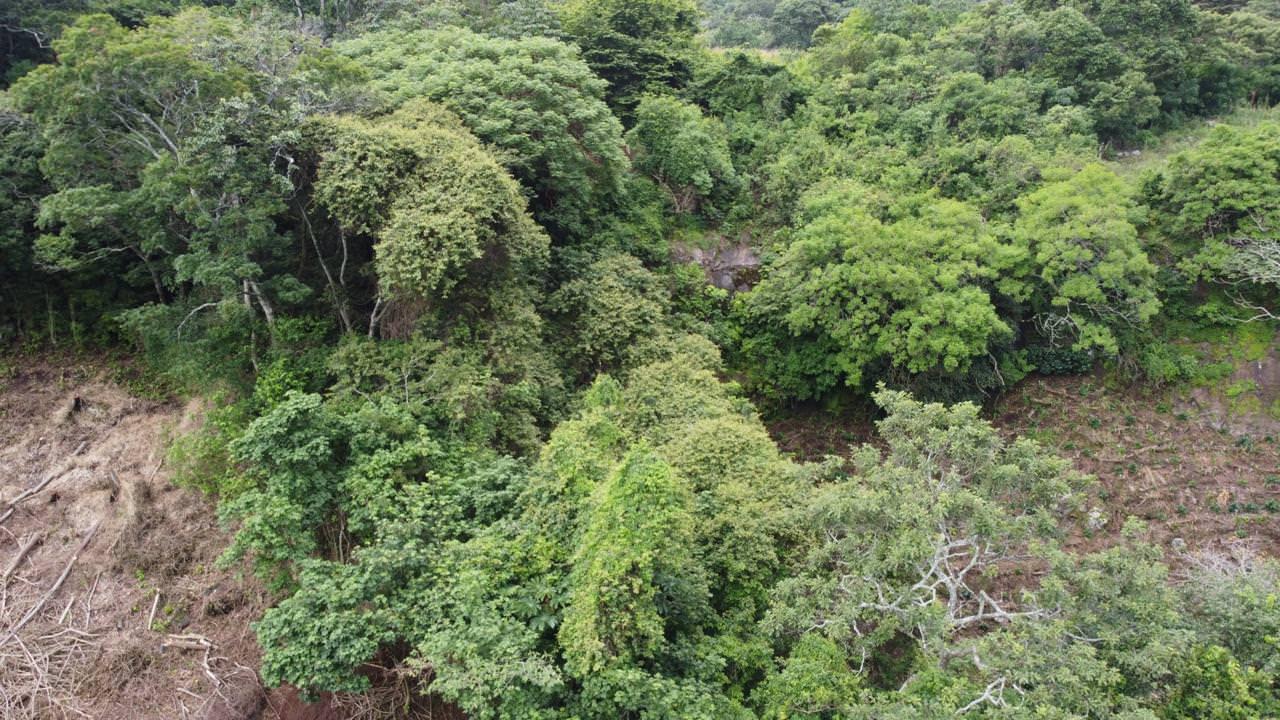 land with structures for wildlife rescue center in santa ana view 016.jpeg