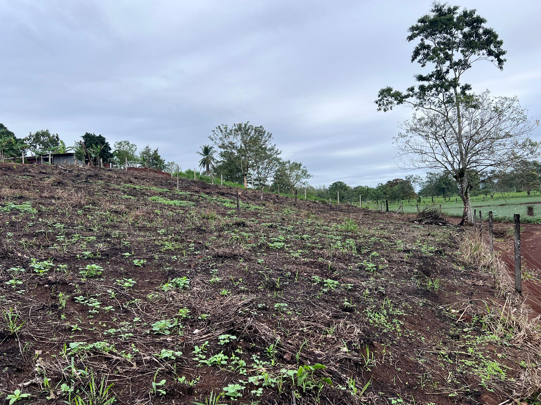 land for development 20 minutes from la fortuna view 009.jpeg