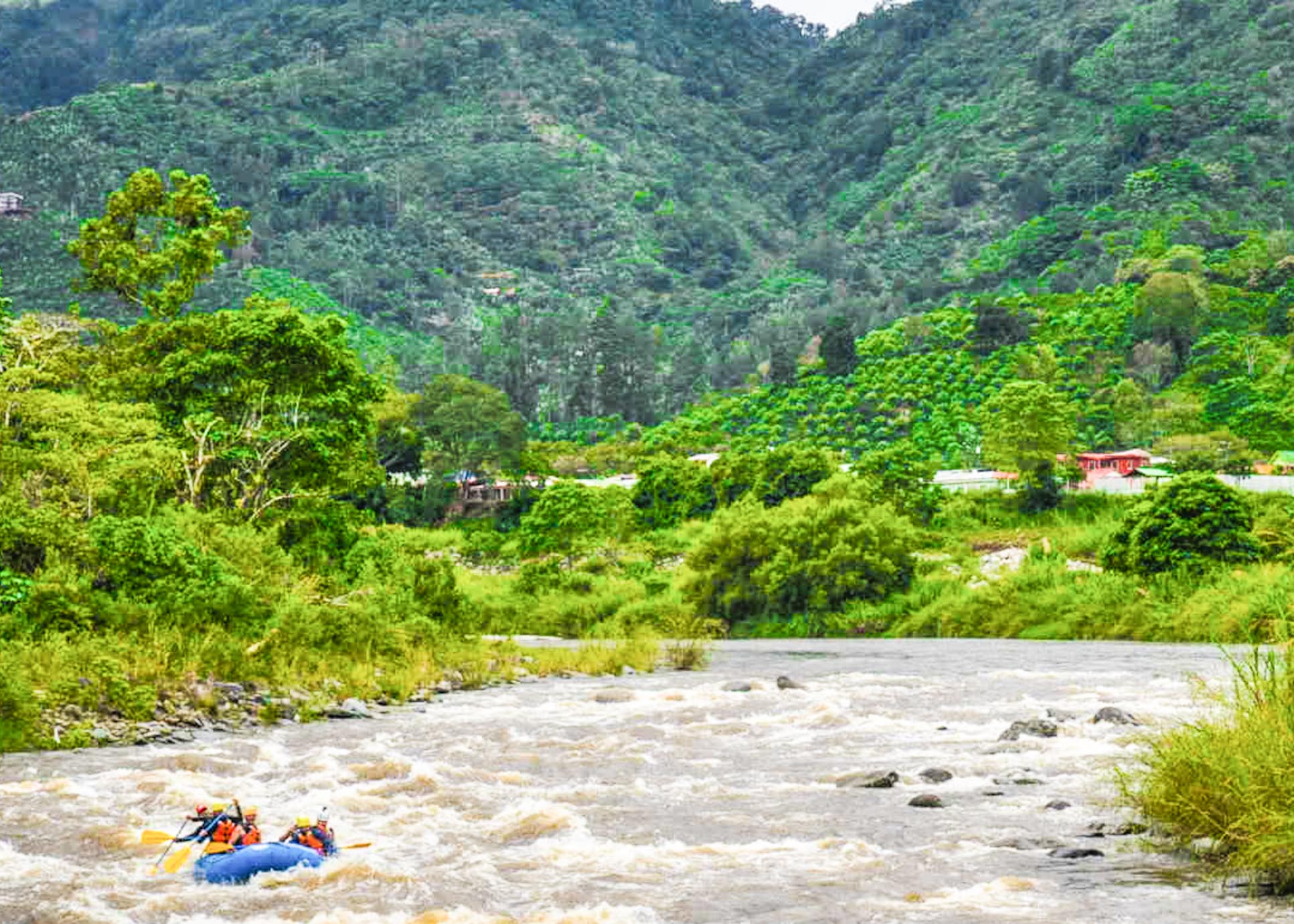 Coffee Fields View While Rafting