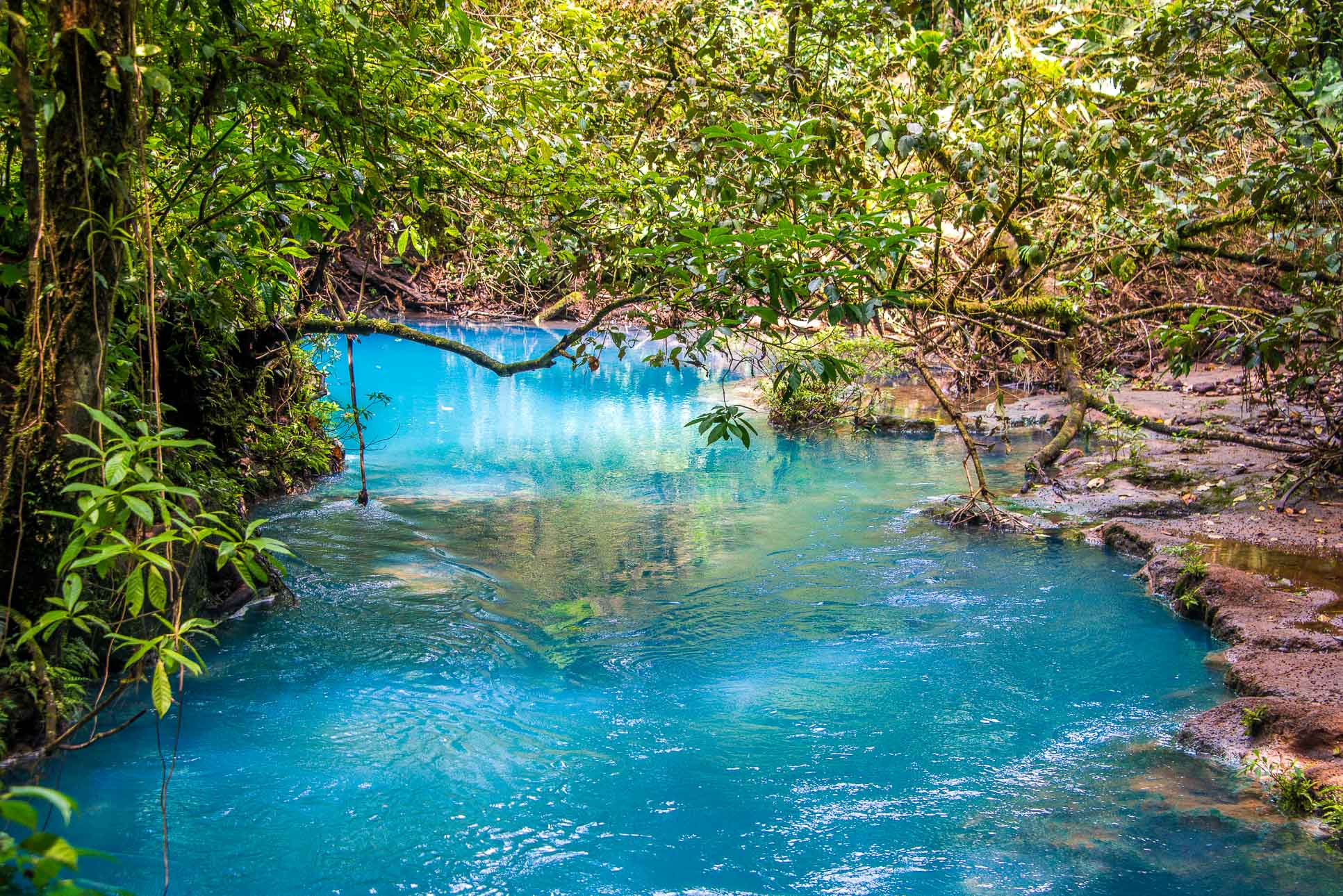 Blue River View From The Hanging Bridge