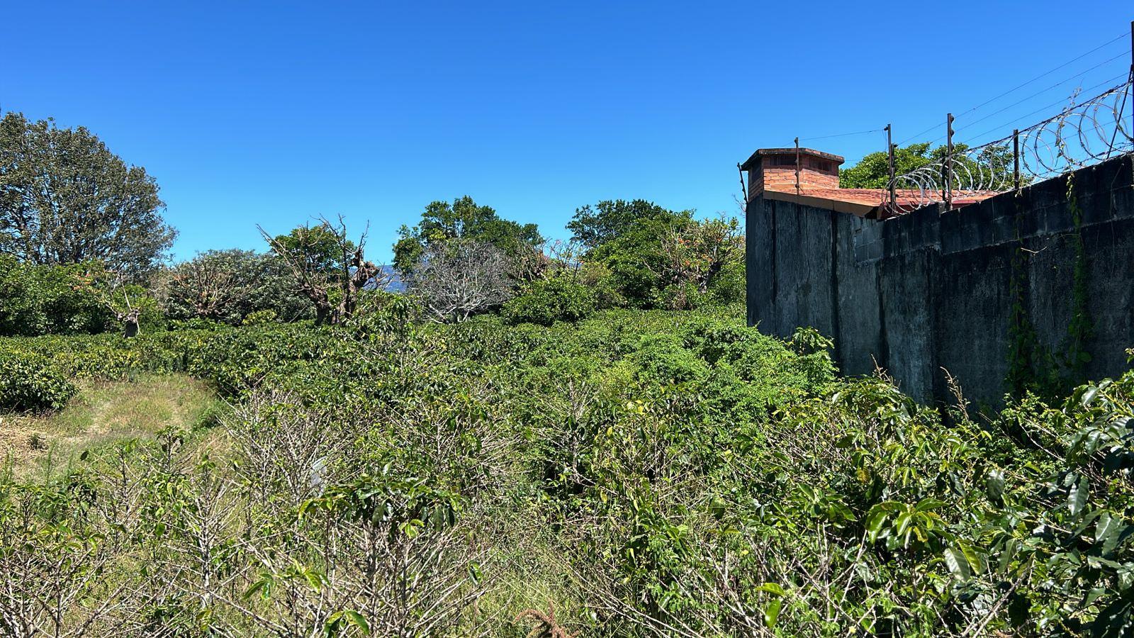 repurpose a coffee farm into a turn key mixed use development complex view 003.jpeg