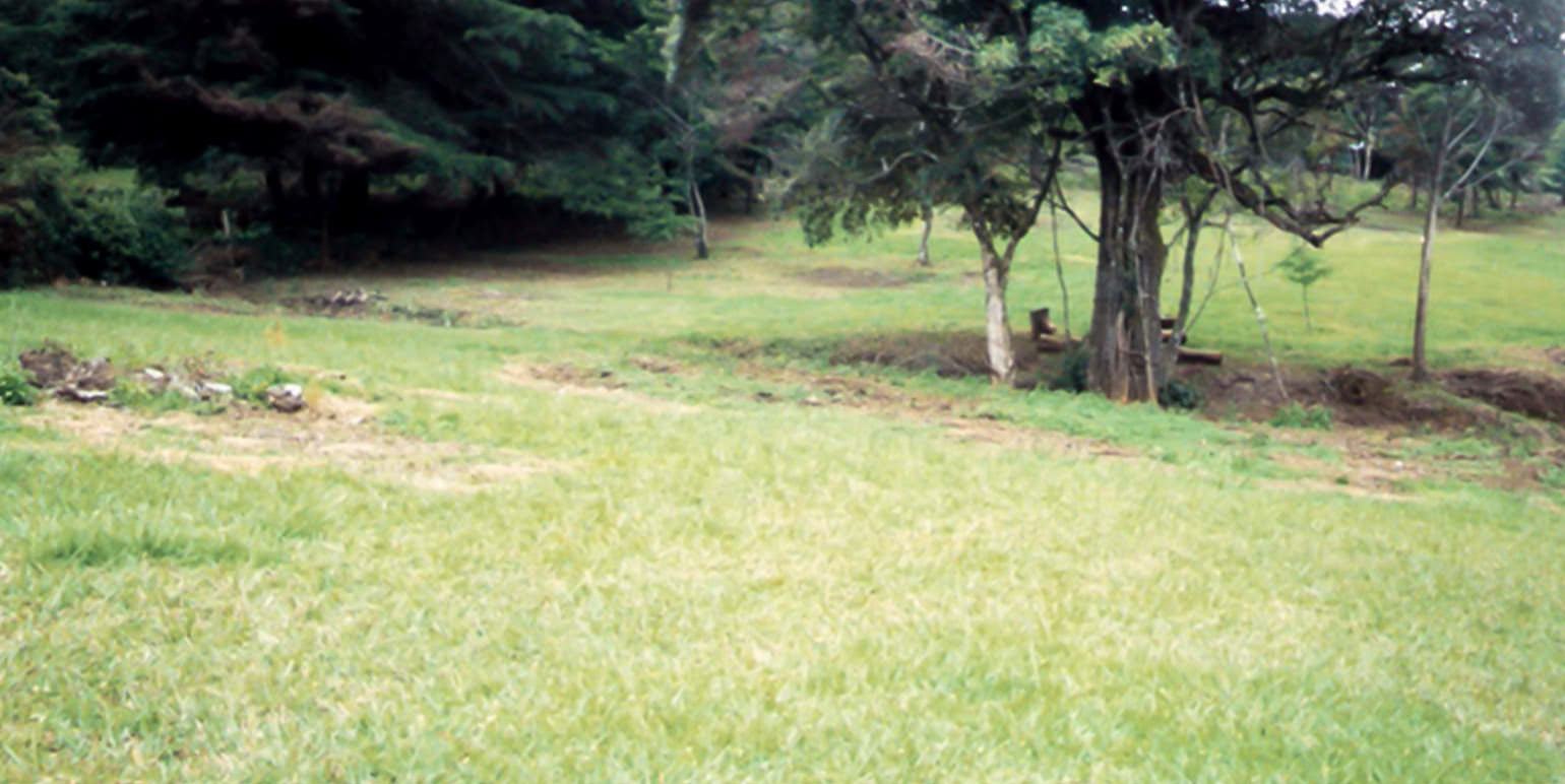 rectangular shaped lot for development view 005.jpg