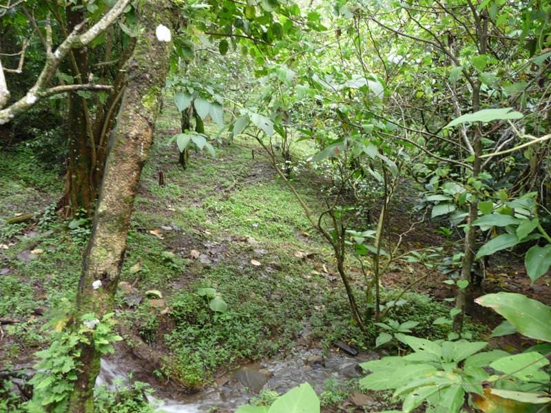 building parcel in alajuela city view 005.jpg