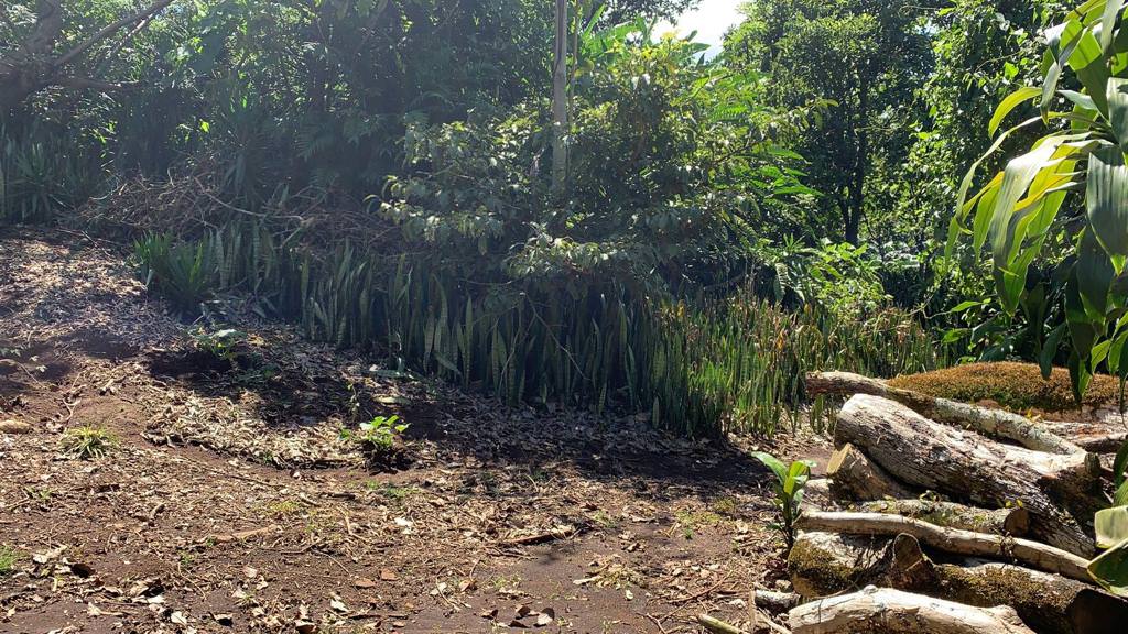 land for construction project in hacienda vieja view 005.jpg