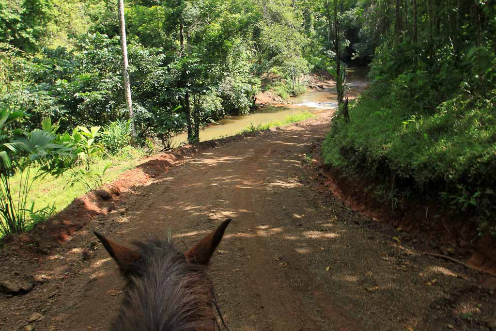 bijagual tour horseback 2.jpg