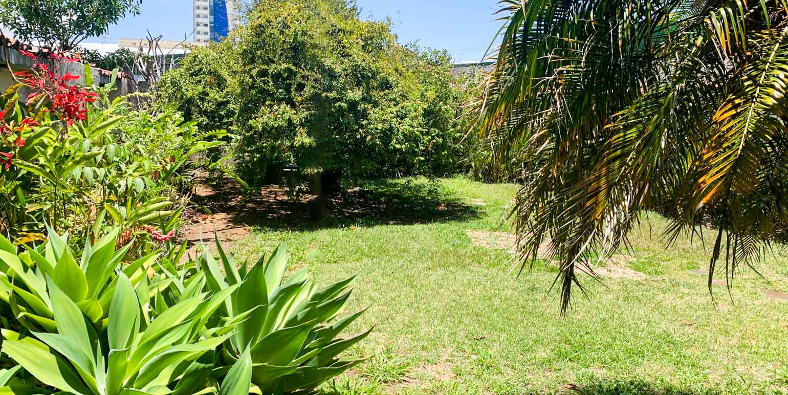 commercially zoned house for sale in sabana view 018.jpg