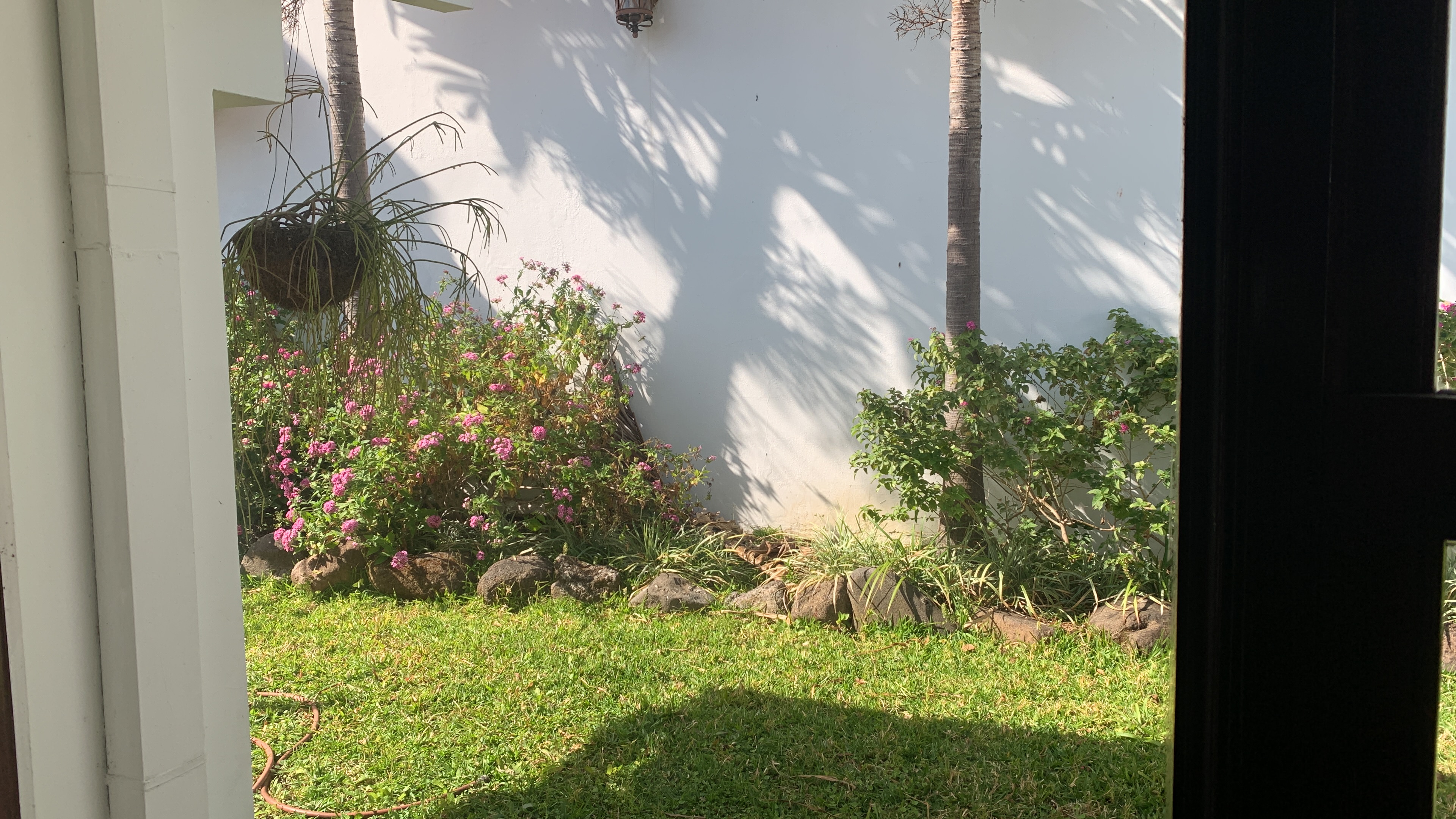 commercial use house for sale in san pedro view 033.jpg