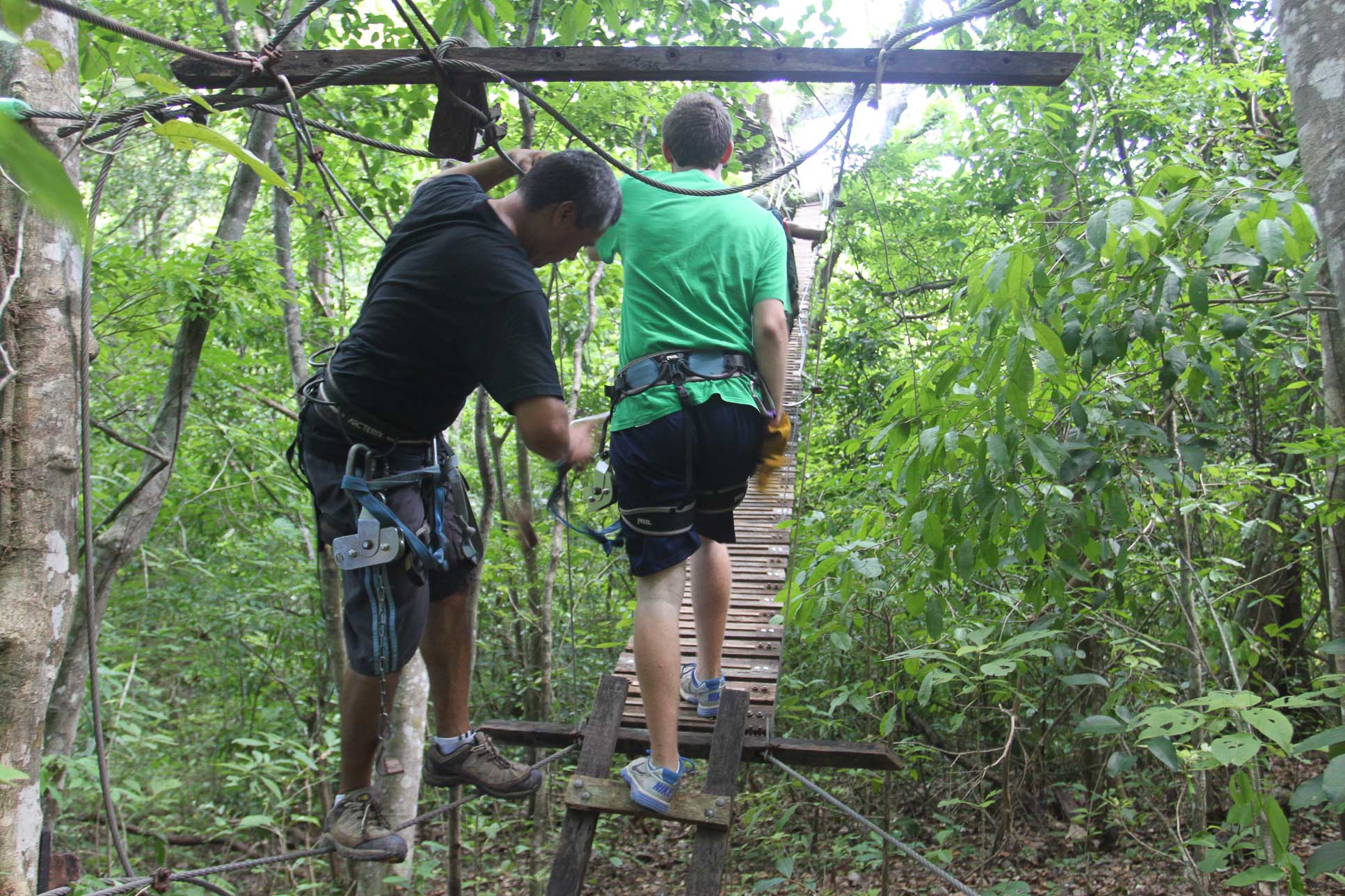 entering suspension bridge wingnutscanopy 5.jpg