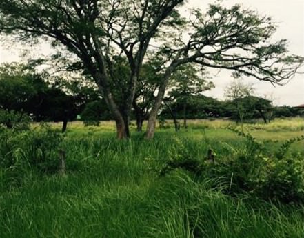 site for new development in santa ana view 004.jpg