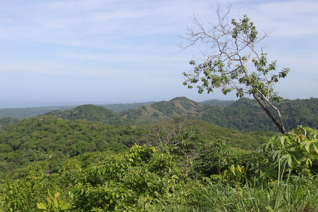 top of miss sky property view7.jpg