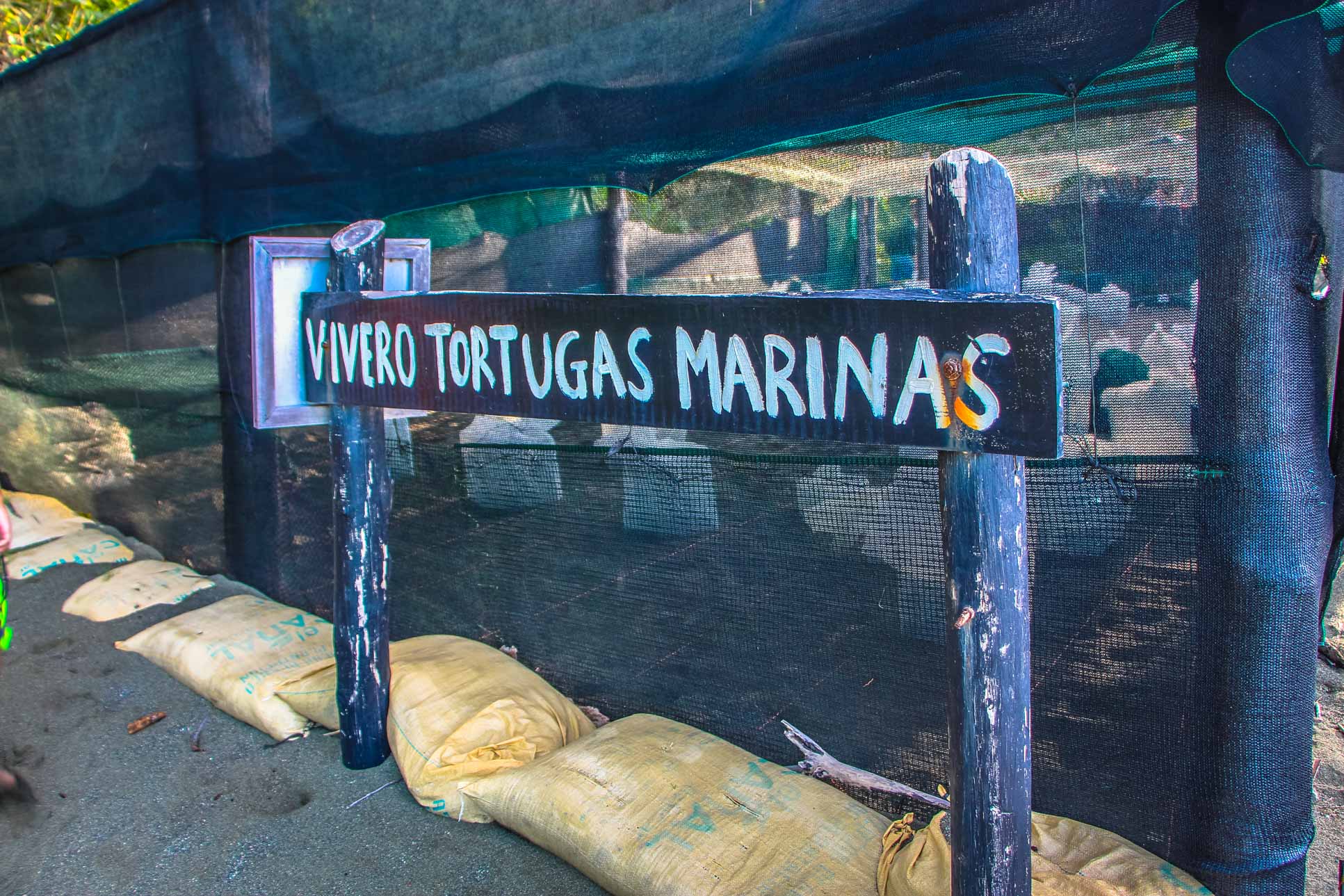 Turtle Hatchery Sign At Piro Beach Costa Rica
