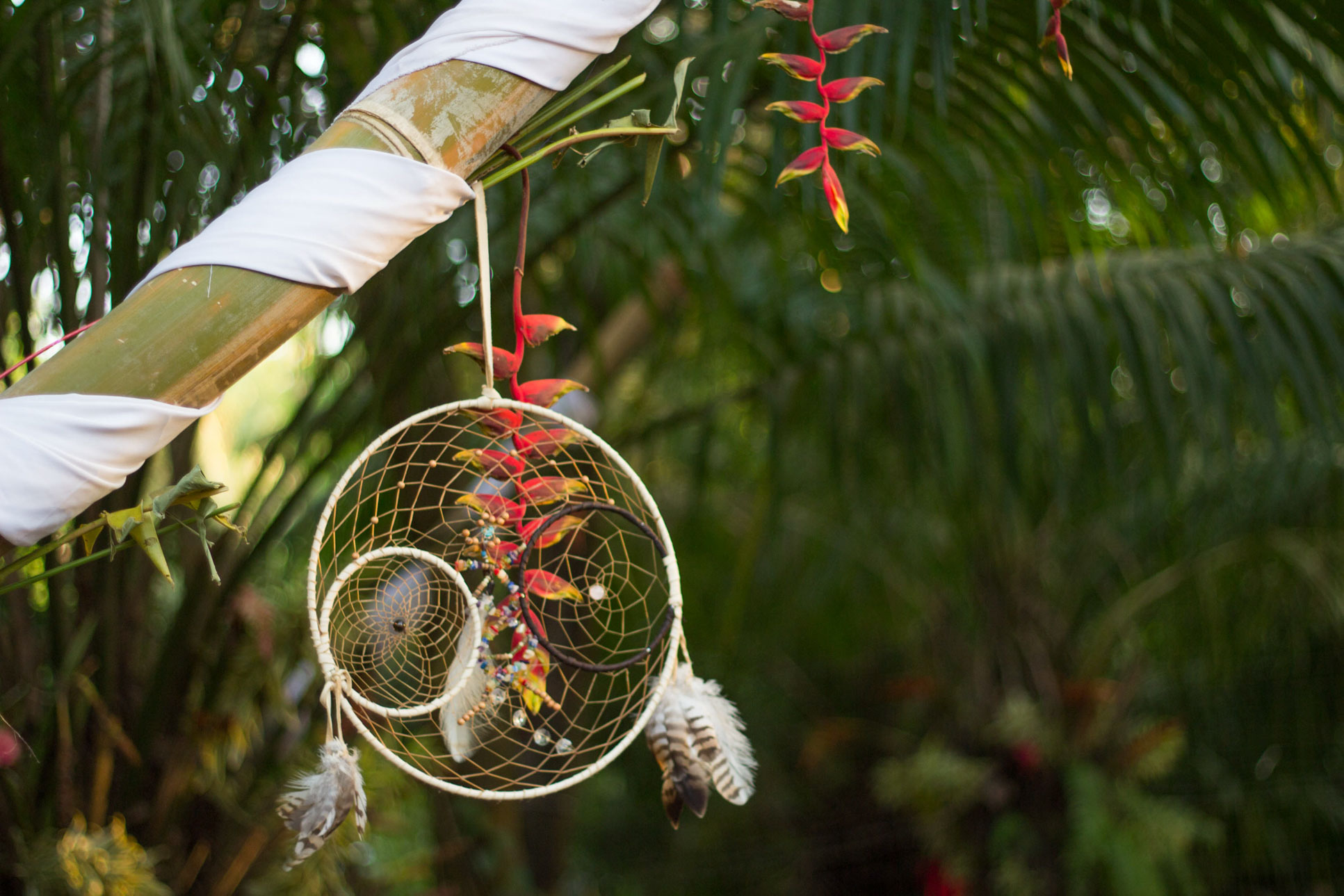 Tree Decorations Envision Festival Costa Rica