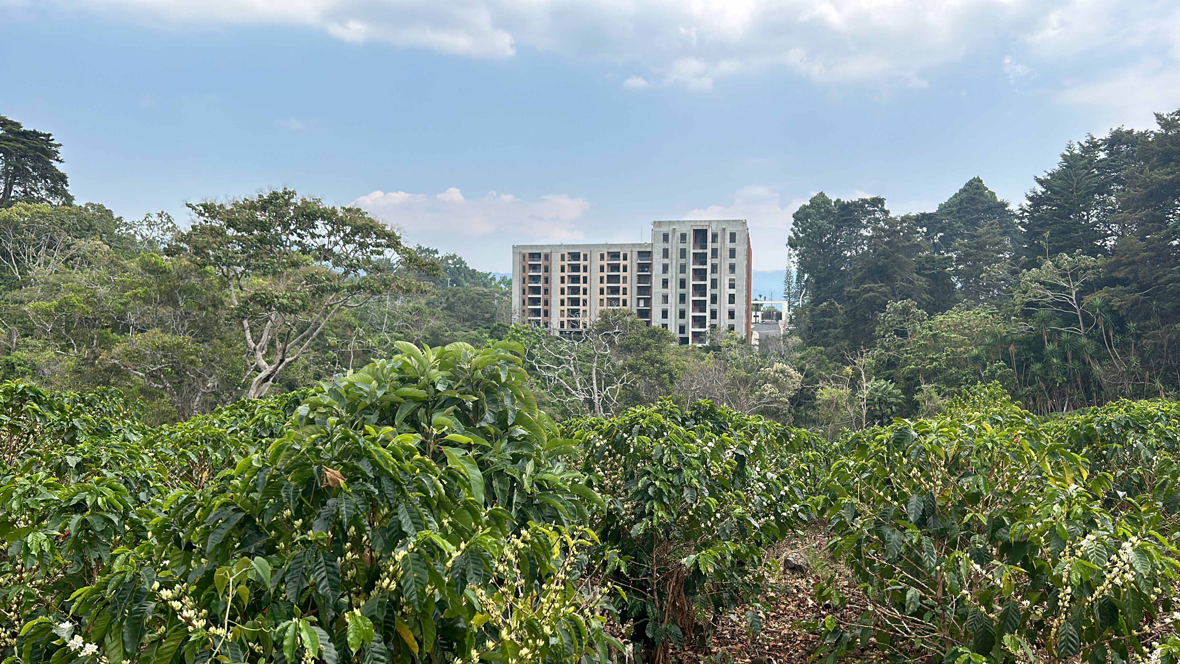 cul de sac residential development lot view 013.jpg