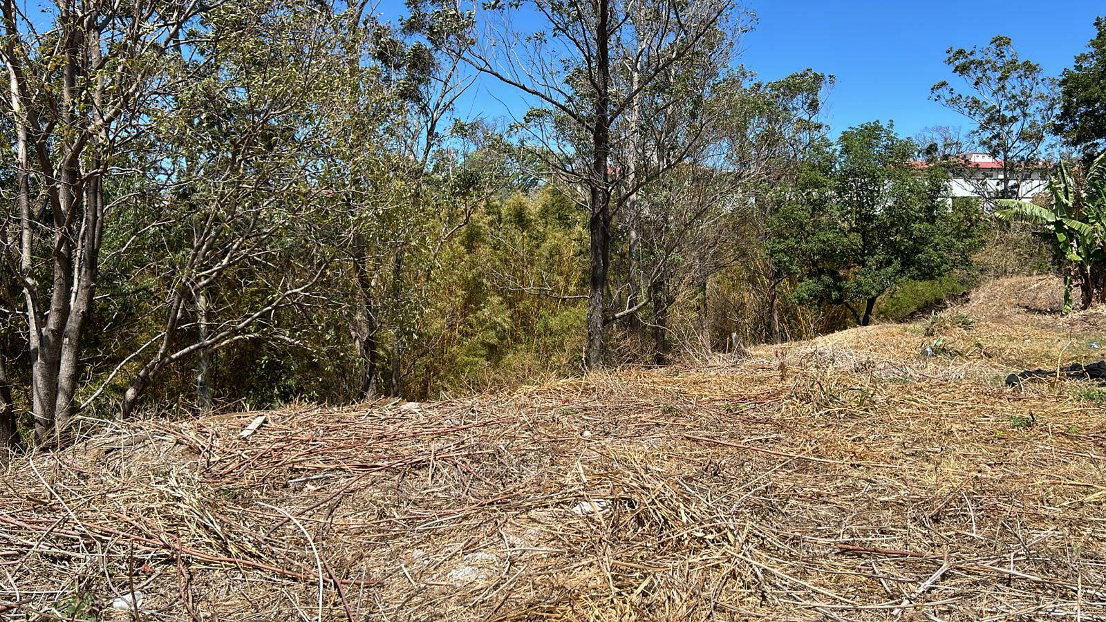 70 apartment low income family development in heredia view 006.jpeg