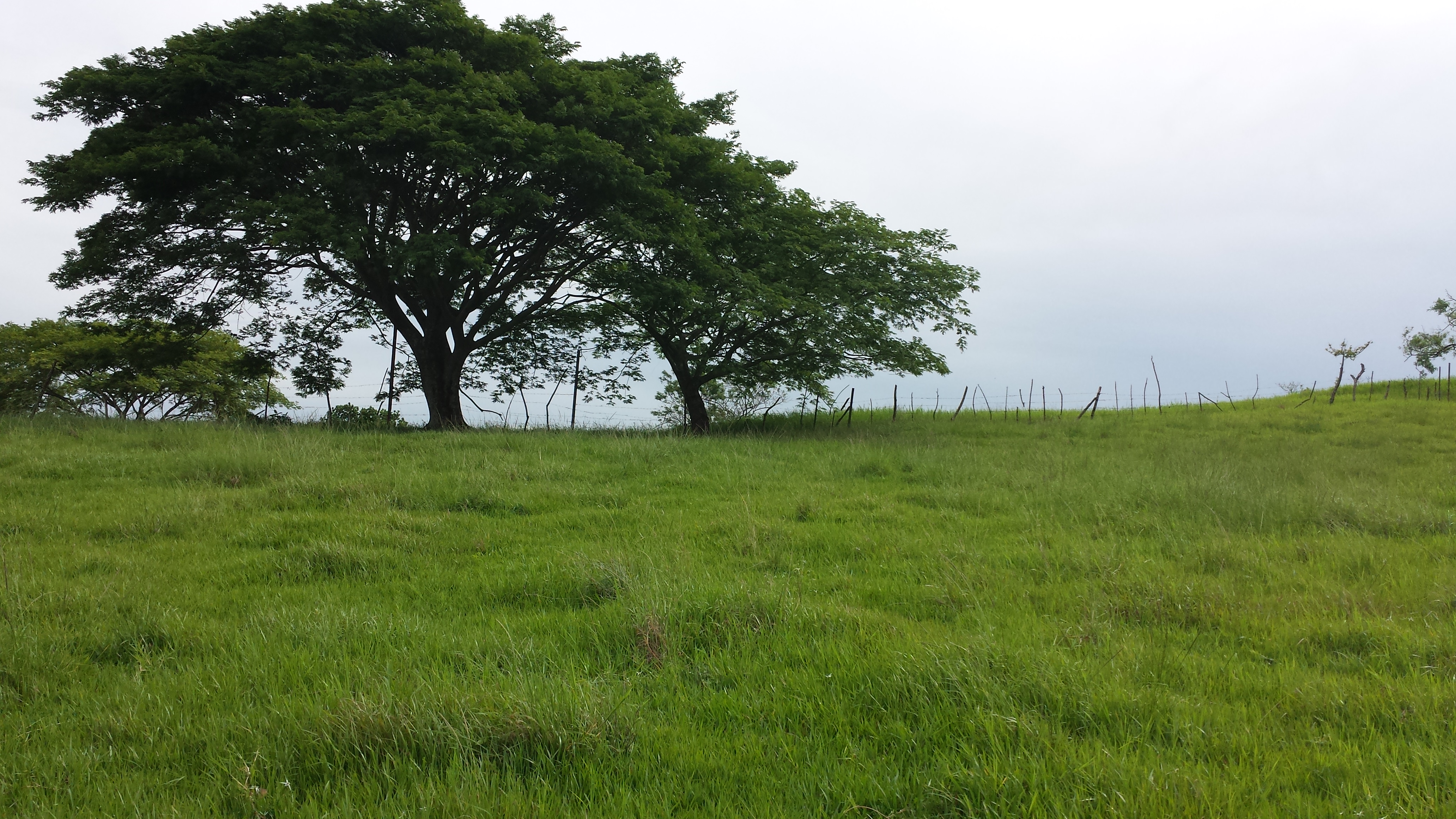 residential development site in alajuela view 008.jpg