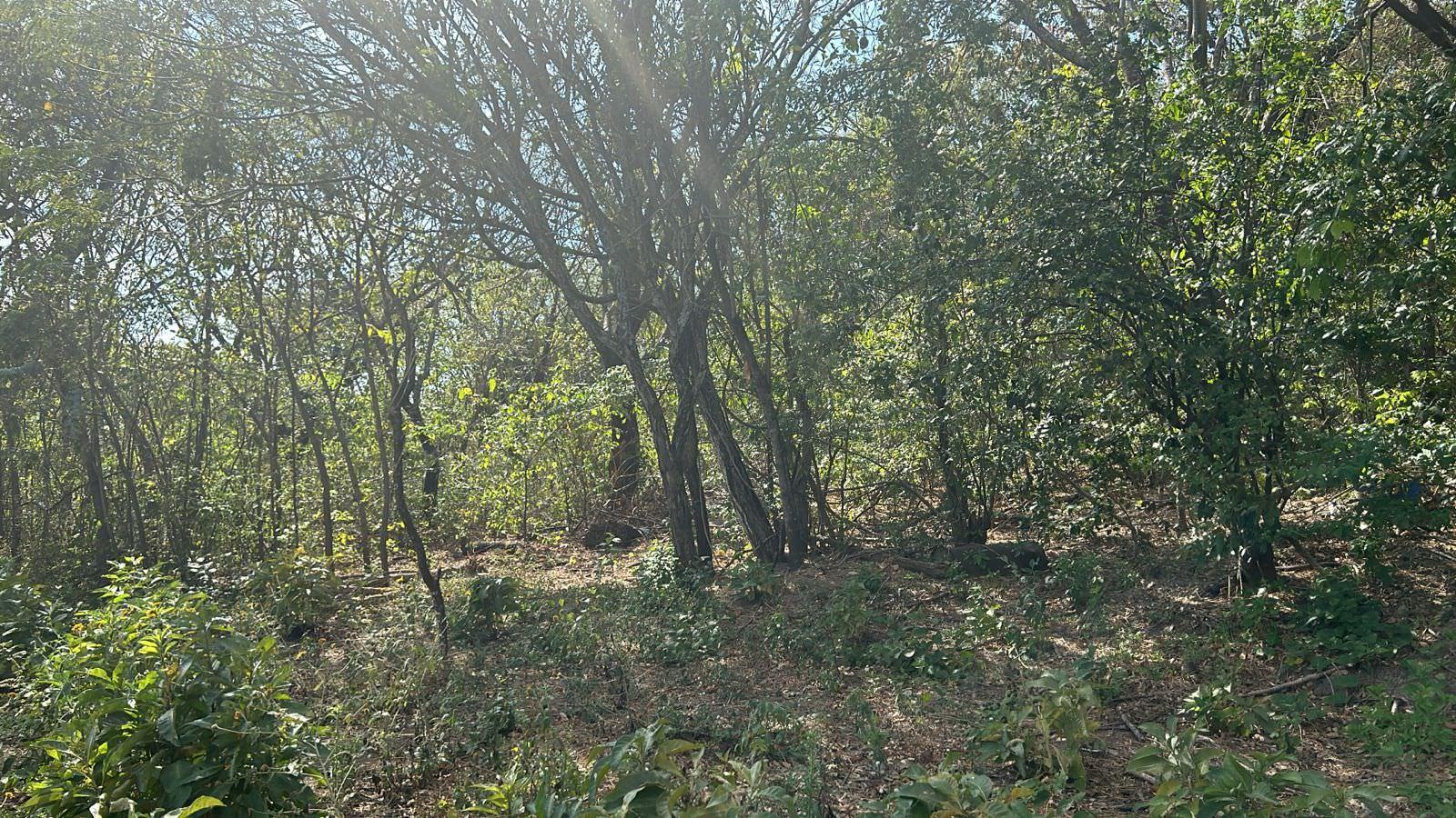 santa ana route 27 frontage 8 8 acre parcel buy one or all three parcel view 013.jpeg