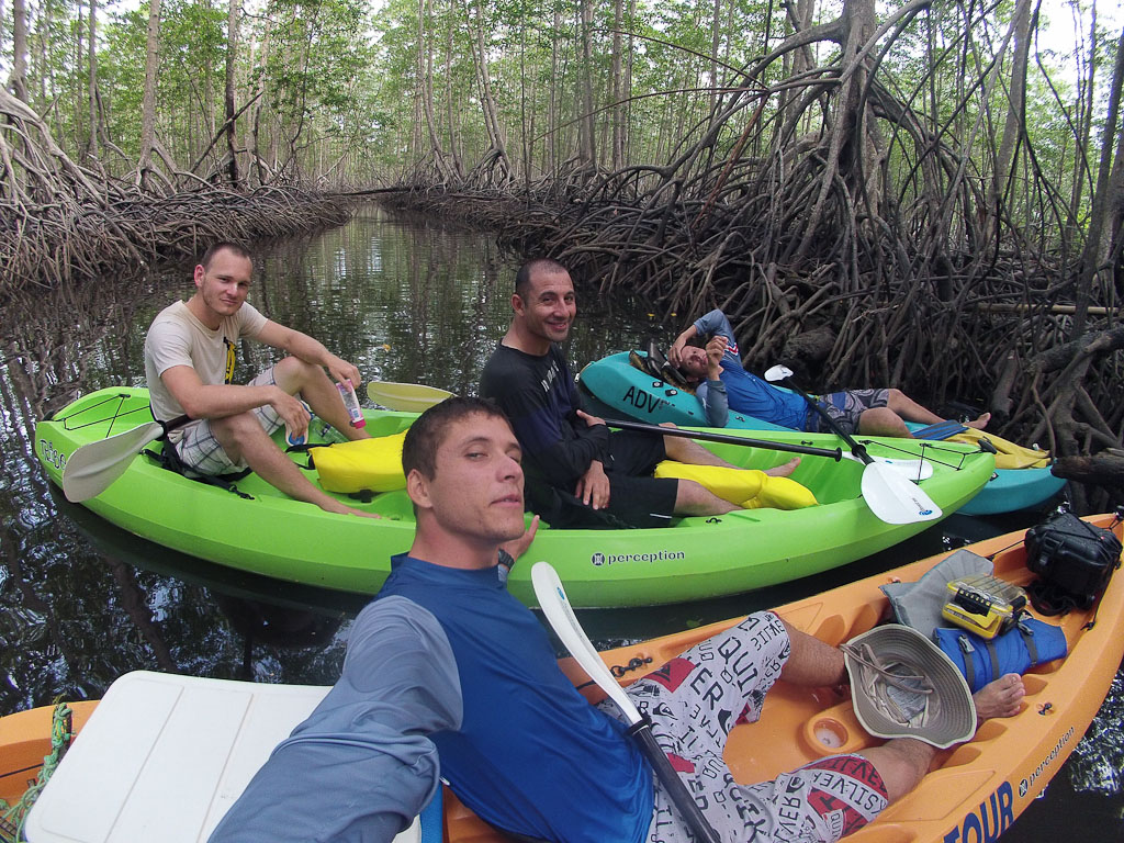 whale tail kayak tour mangrove 7.jpg