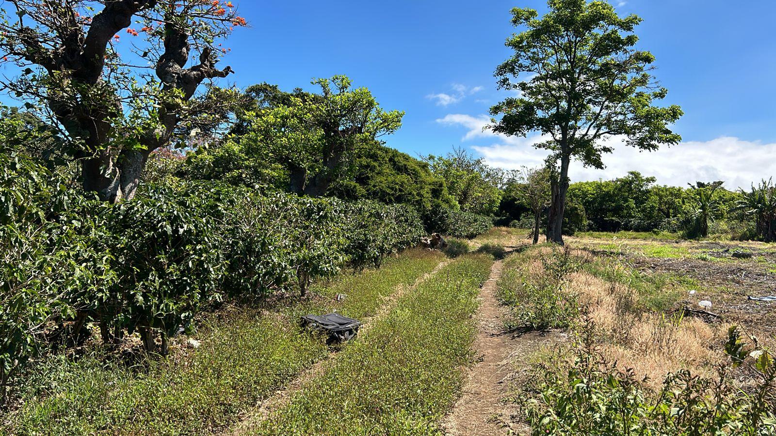 coffee estate construction site in santo domingo view 007.jpeg