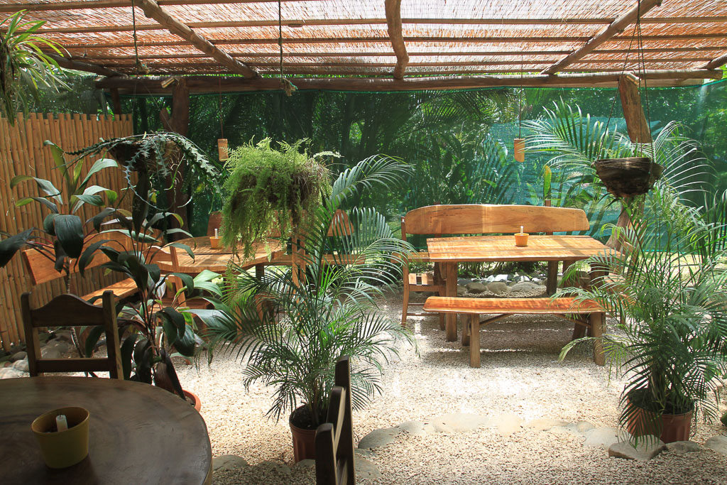hanging plants over tables tierra y fuego 13.jpg
