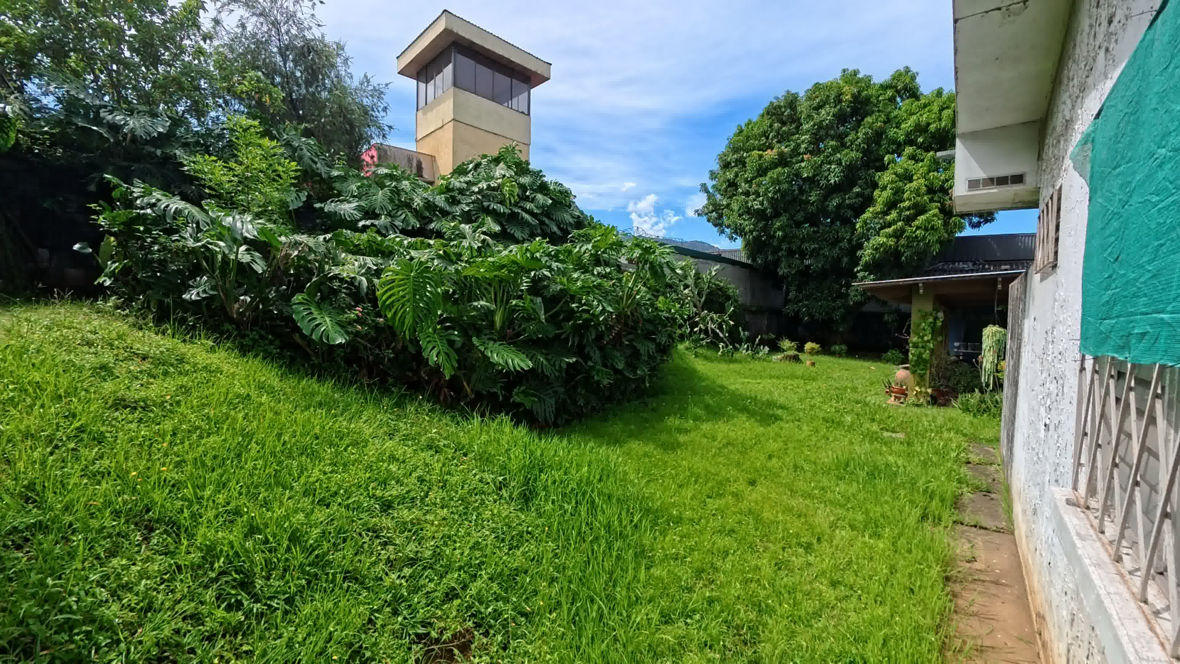 back yard development lot.jpg