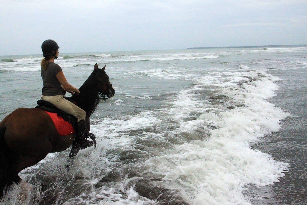 jungle beach horseback tour in waves 7.jpg