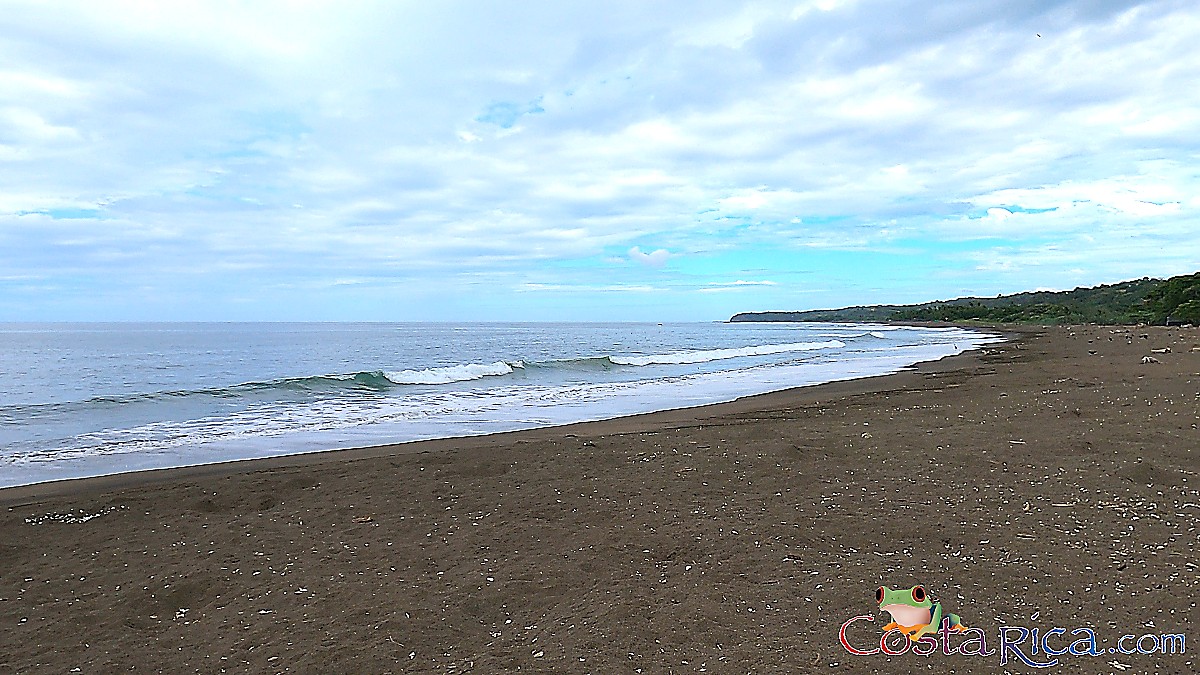 atv nosara tour ostional black beach sands.jpg