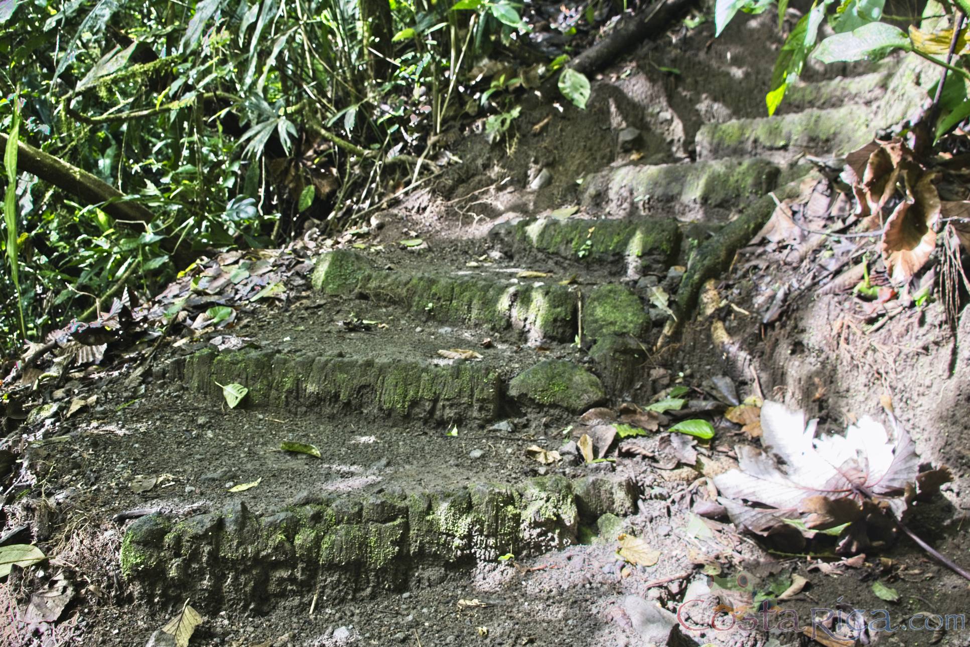 trail with some steps at arenal volcano 1968 eruption site lookout point.jpg