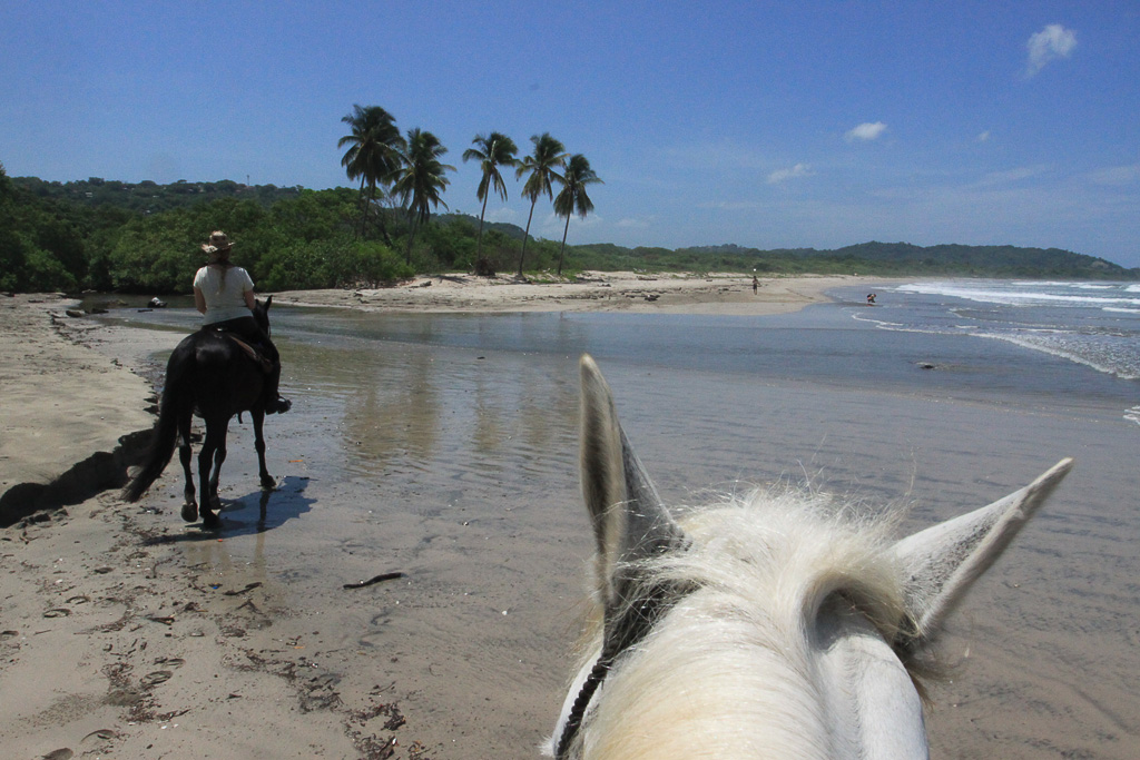 horse trailing behind pelada2.jpg