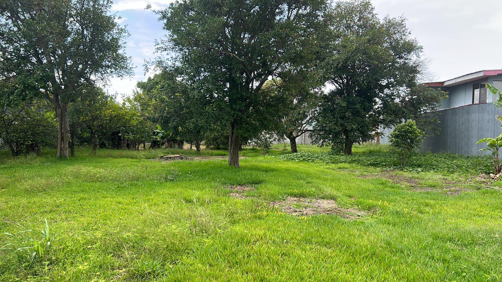 lot for development in the town of moravia view 007.jpeg