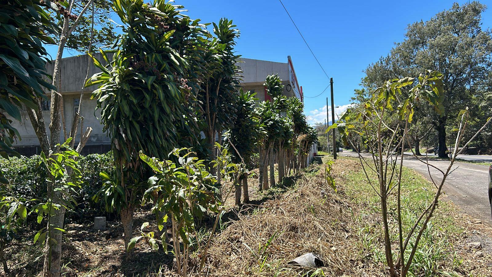 vacant lot under protected zone for development on route 32 san jose view 008.jpeg