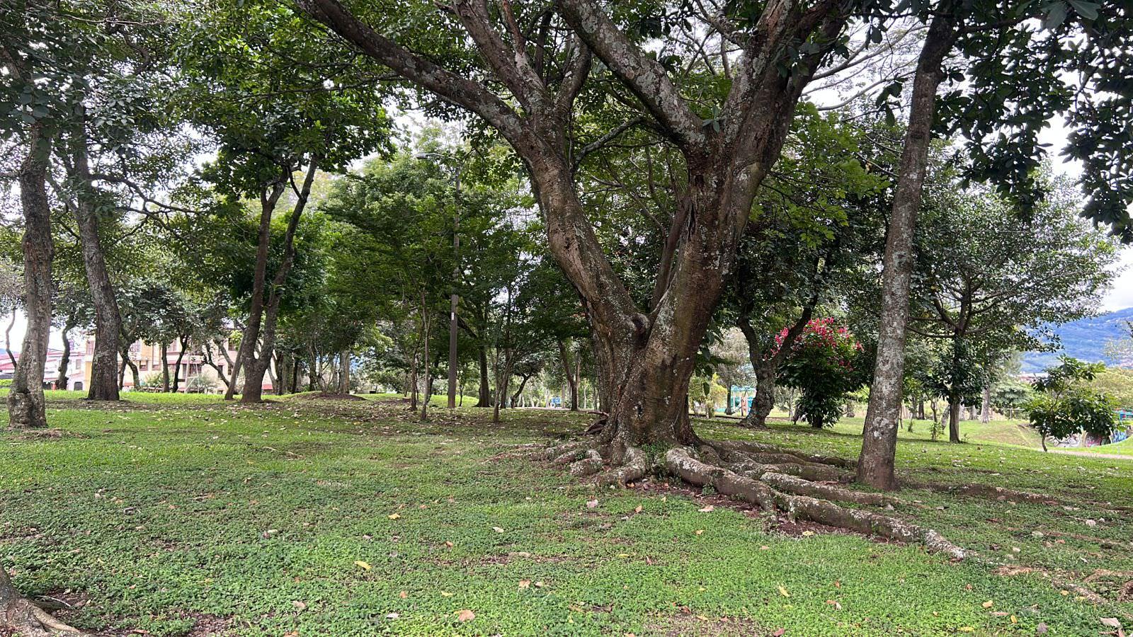 urban development site in sabana view 006.jpeg
